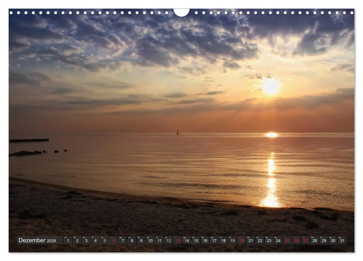 Bild: 9783516158946 | Insel Hiddensee (Wandkalender 2026 DIN A3 quer), CALVENDO...