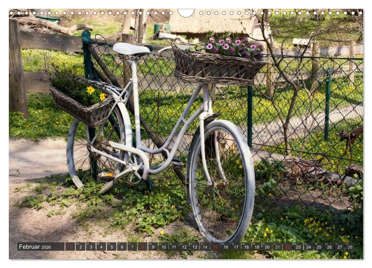 Bild: 9783516158946 | Insel Hiddensee (Wandkalender 2026 DIN A3 quer), CALVENDO...