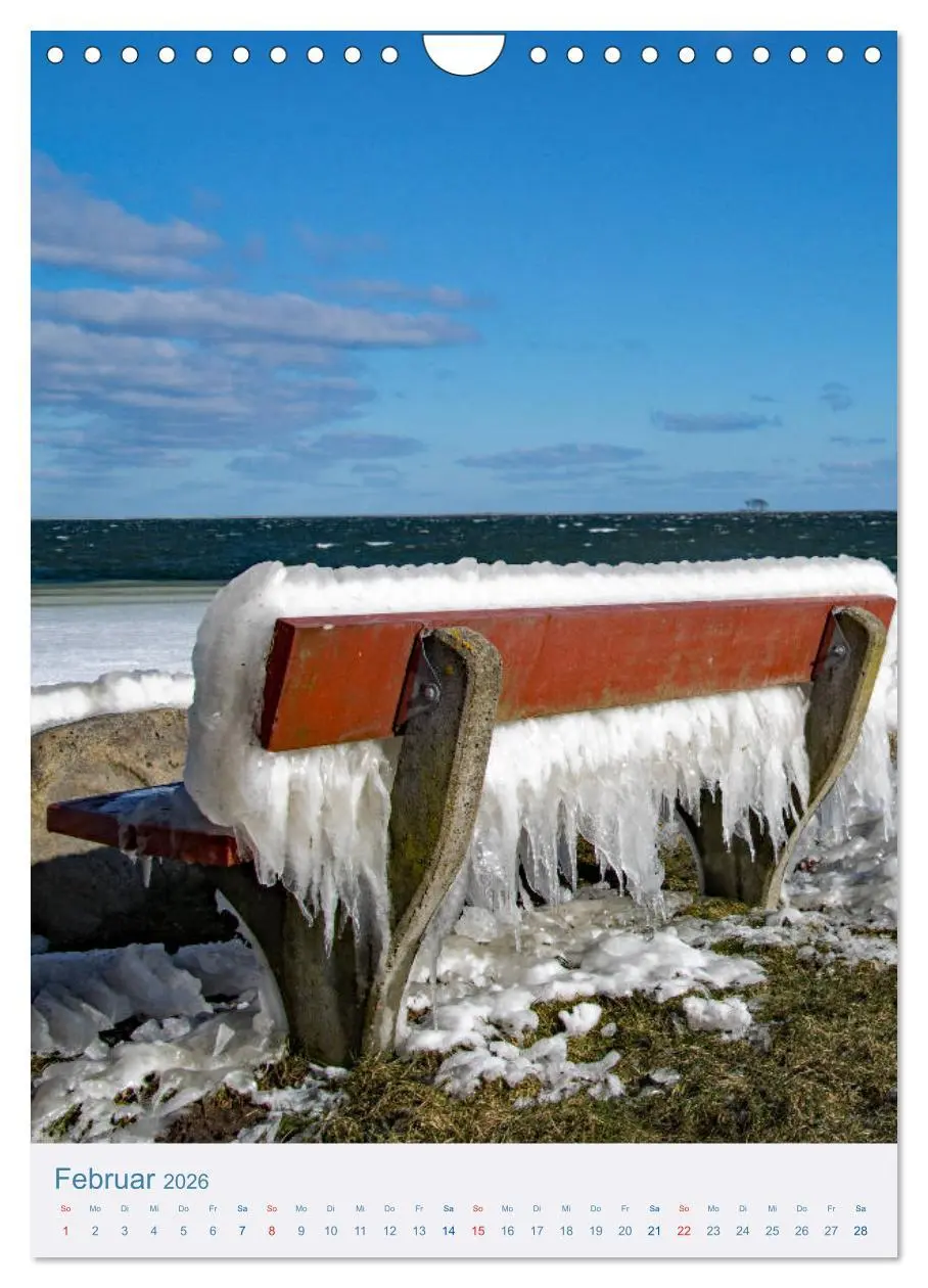 Bild: 9783516398946 | Kappeln und Schlei (Wandkalender 2026 DIN A4 hoch), CALVENDO...