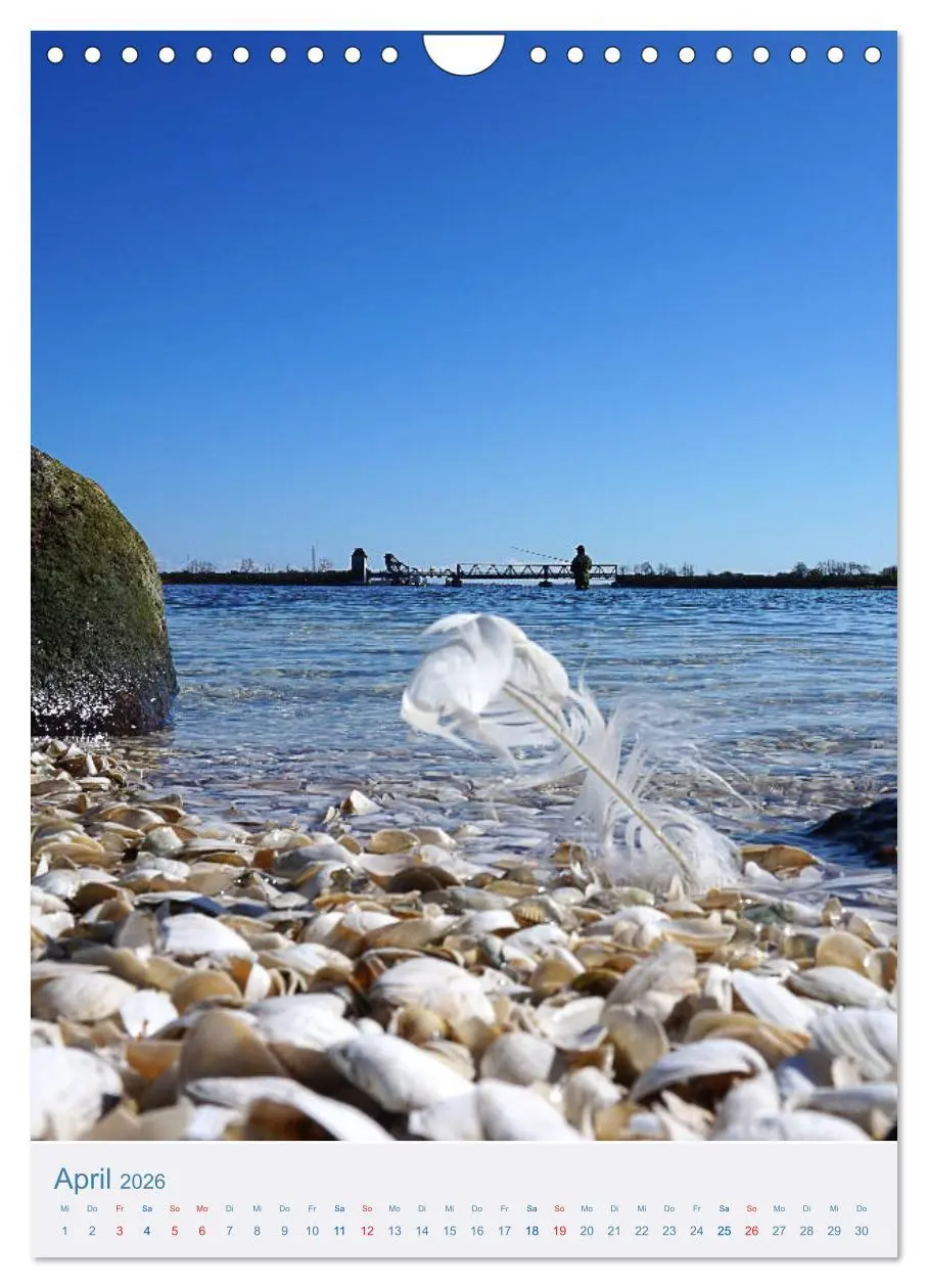 Bild: 9783516398946 | Kappeln und Schlei (Wandkalender 2026 DIN A4 hoch), CALVENDO...