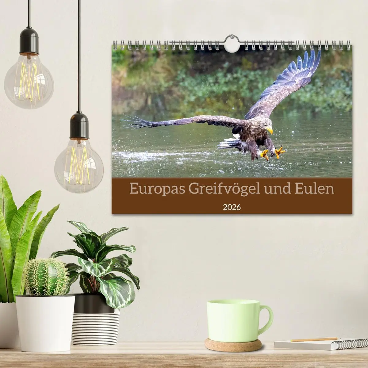 Bild: 9783516608946 | Europas Greifvögel und Eulen (Wandkalender 2026 DIN A4 quer),...