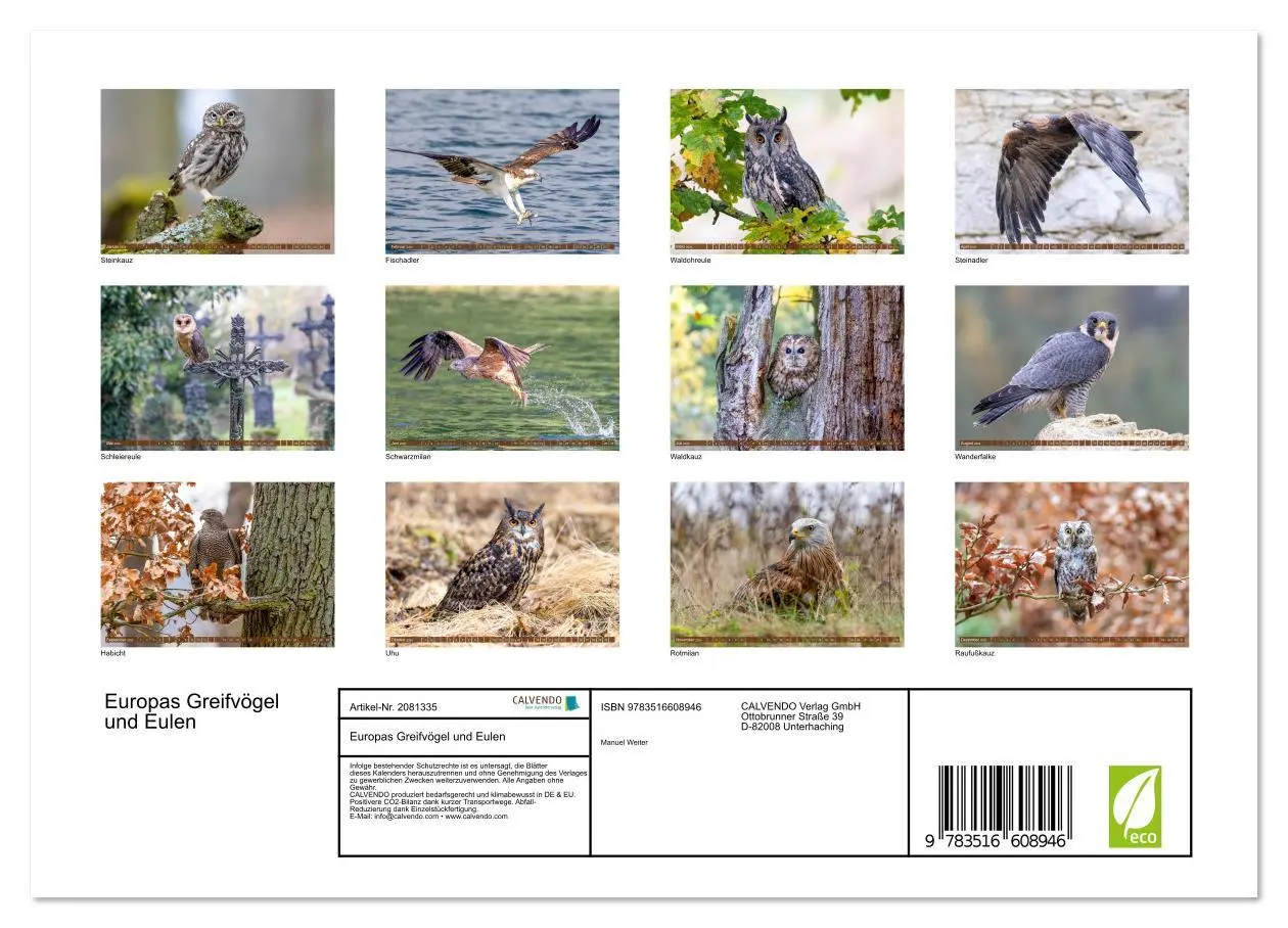 Bild: 9783516608946 | Europas Greifvögel und Eulen (Wandkalender 2026 DIN A4 quer),...