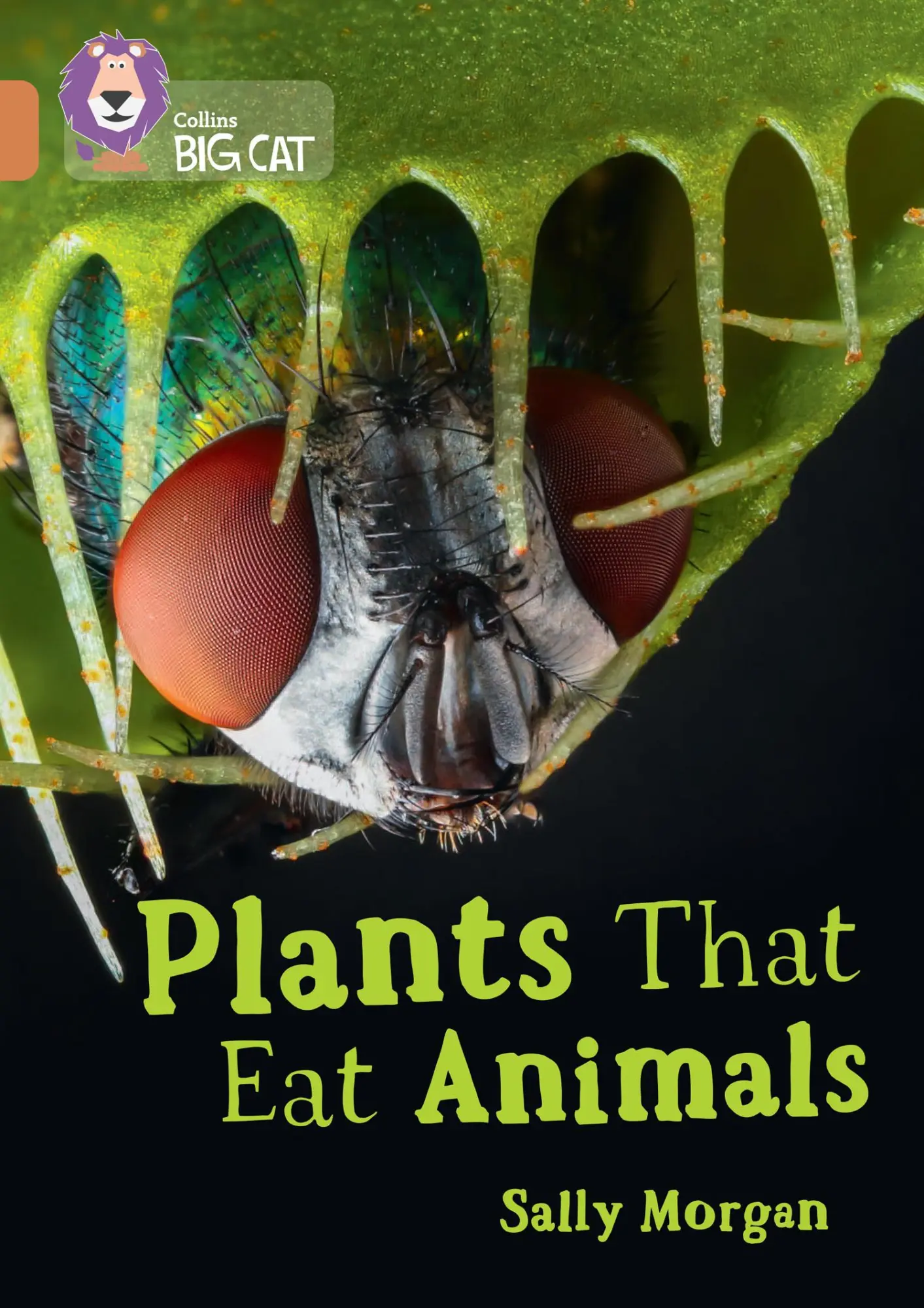 Cover: 9780008479046 | Plants that Eat Animals | Band 12/Copper | Sally Morgan | Taschenbuch