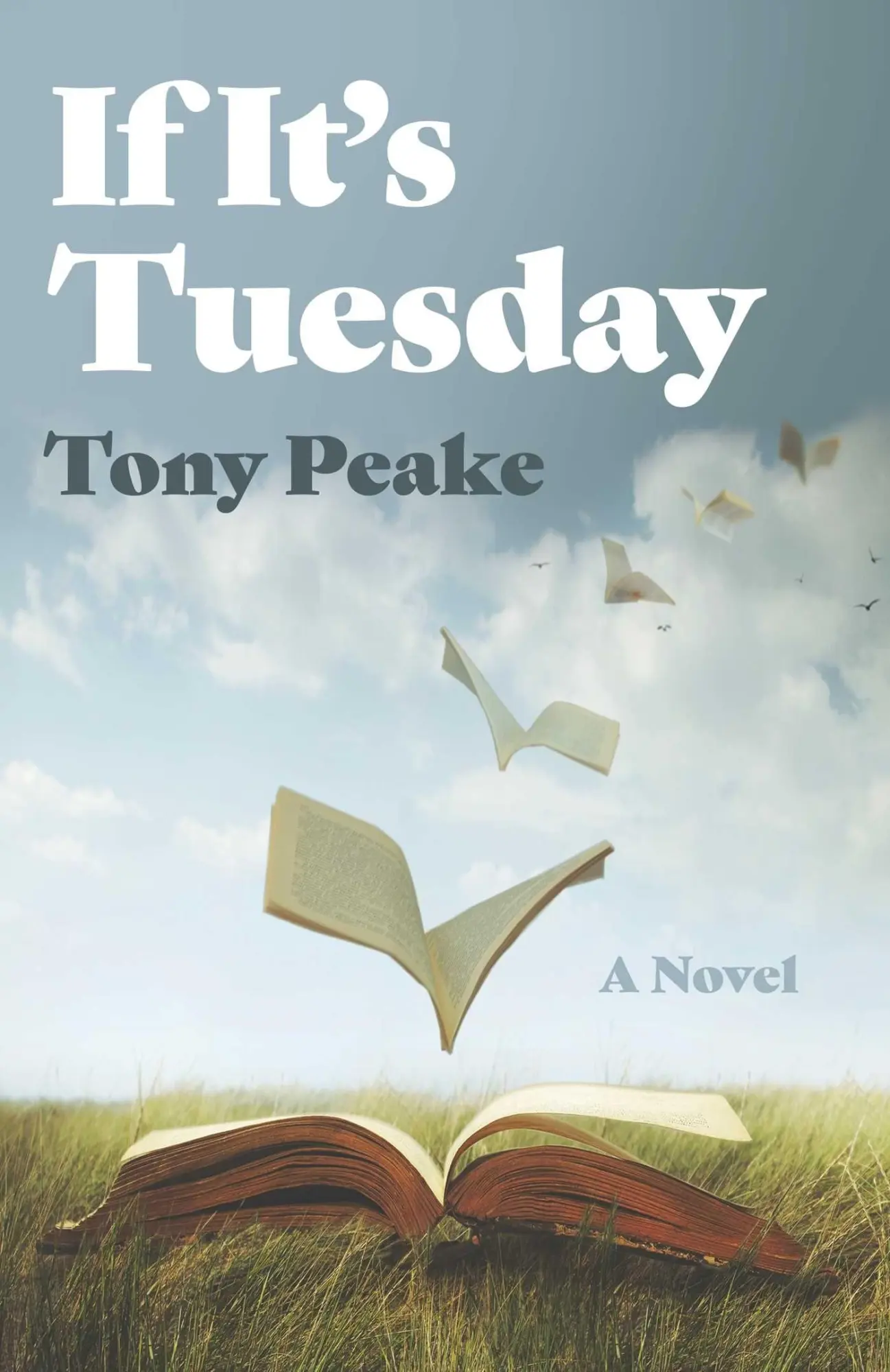 Cover: 9781803419046 | If It's Tuesday | A Novel | Tony Peake | Taschenbuch | Englisch | 2025