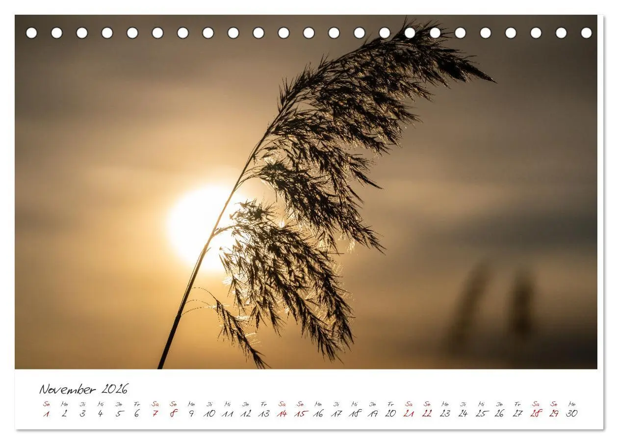 Bild: 9783457649046 | Sonnenuntergang am Ammersee (Tischkalender 2026 DIN A5 quer),...