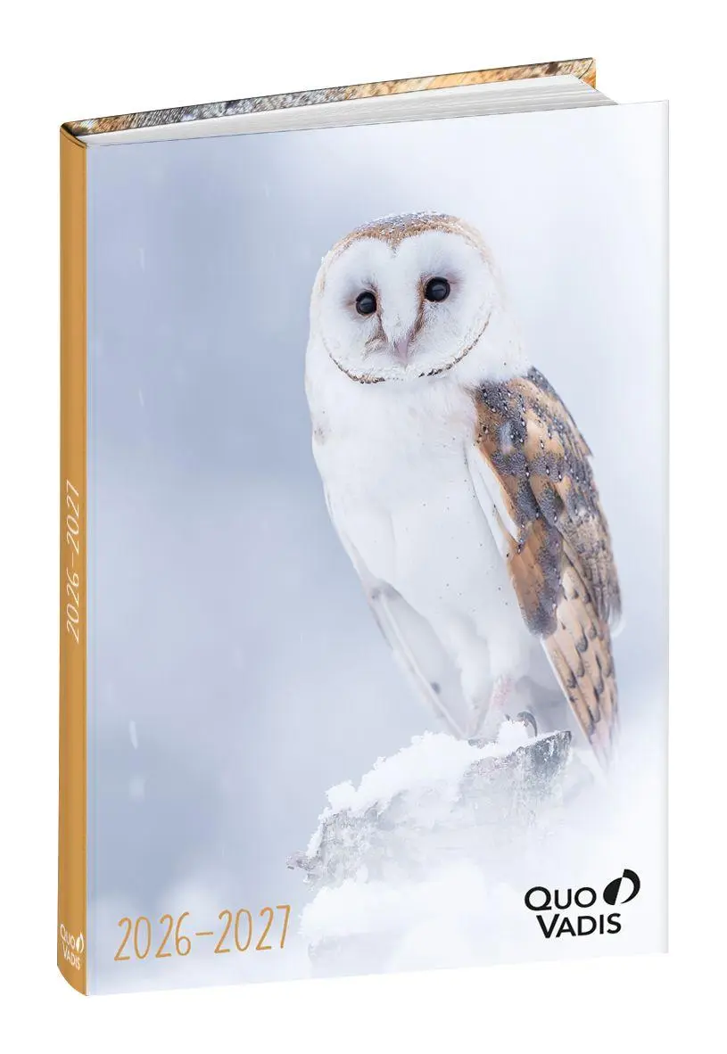 Cover: 3371010549146 | Schülerkalender Forum Tiere Eule 2026 / 2027 | Schülerkalender | Vadis