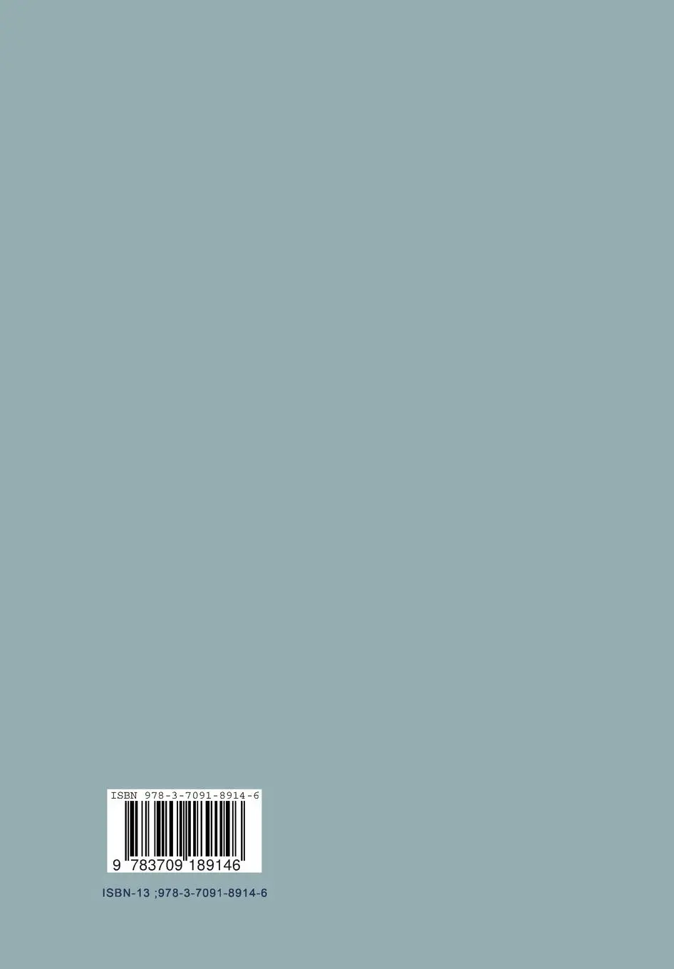 Rückseite: 9783709189146 | Wälzlager | Theorie und Praxis | Hubert Köttritsch (u. a.) | Buch | xv