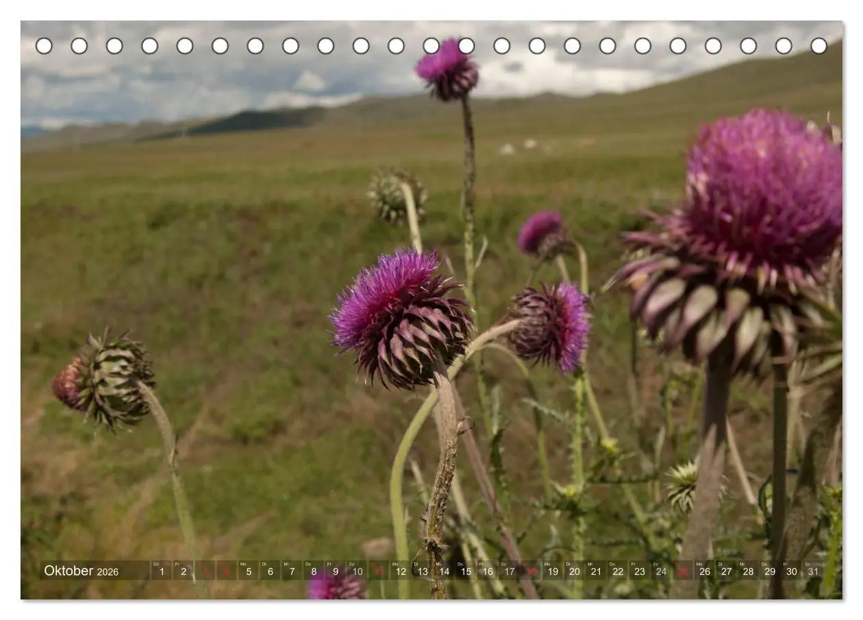 Bild: 9783516029246 | Mongolei - weites Land (Tischkalender 2026 DIN A5 quer), CALVENDO...