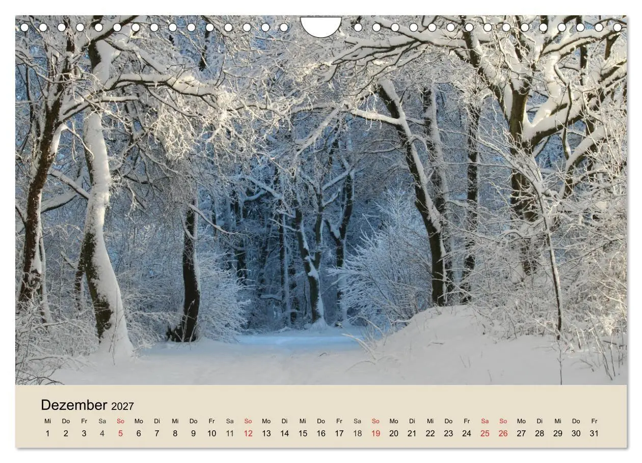 Bild: 9783569739246 | Der Wald. Durch zauberhafte Waldlandschaften (Wandkalender 2027 DIN...