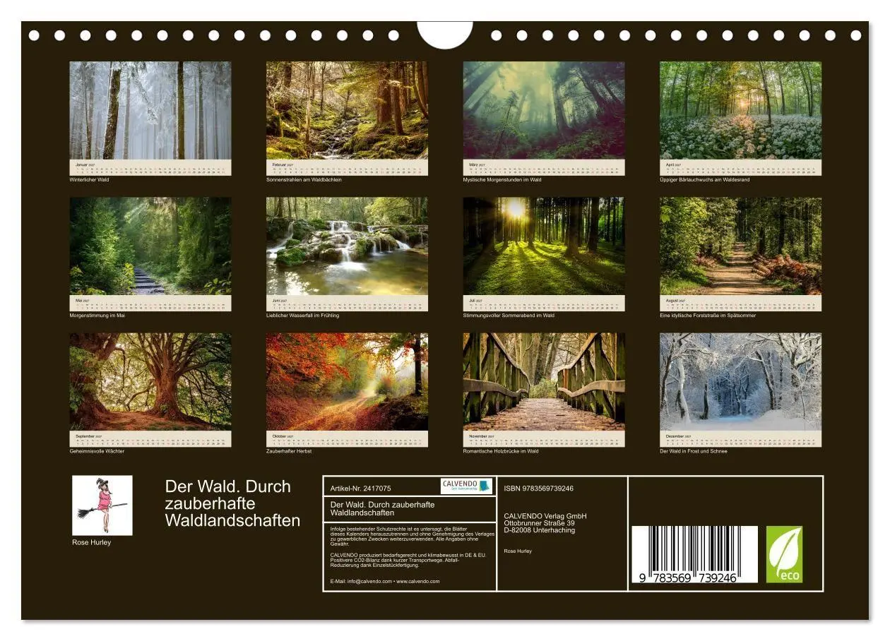 Bild: 9783569739246 | Der Wald. Durch zauberhafte Waldlandschaften (Wandkalender 2027 DIN...
