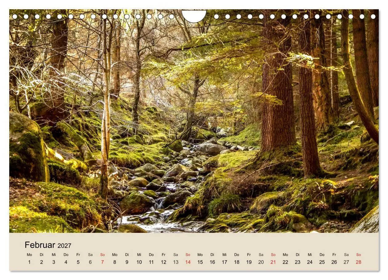 Bild: 9783569739246 | Der Wald. Durch zauberhafte Waldlandschaften (Wandkalender 2027 DIN...