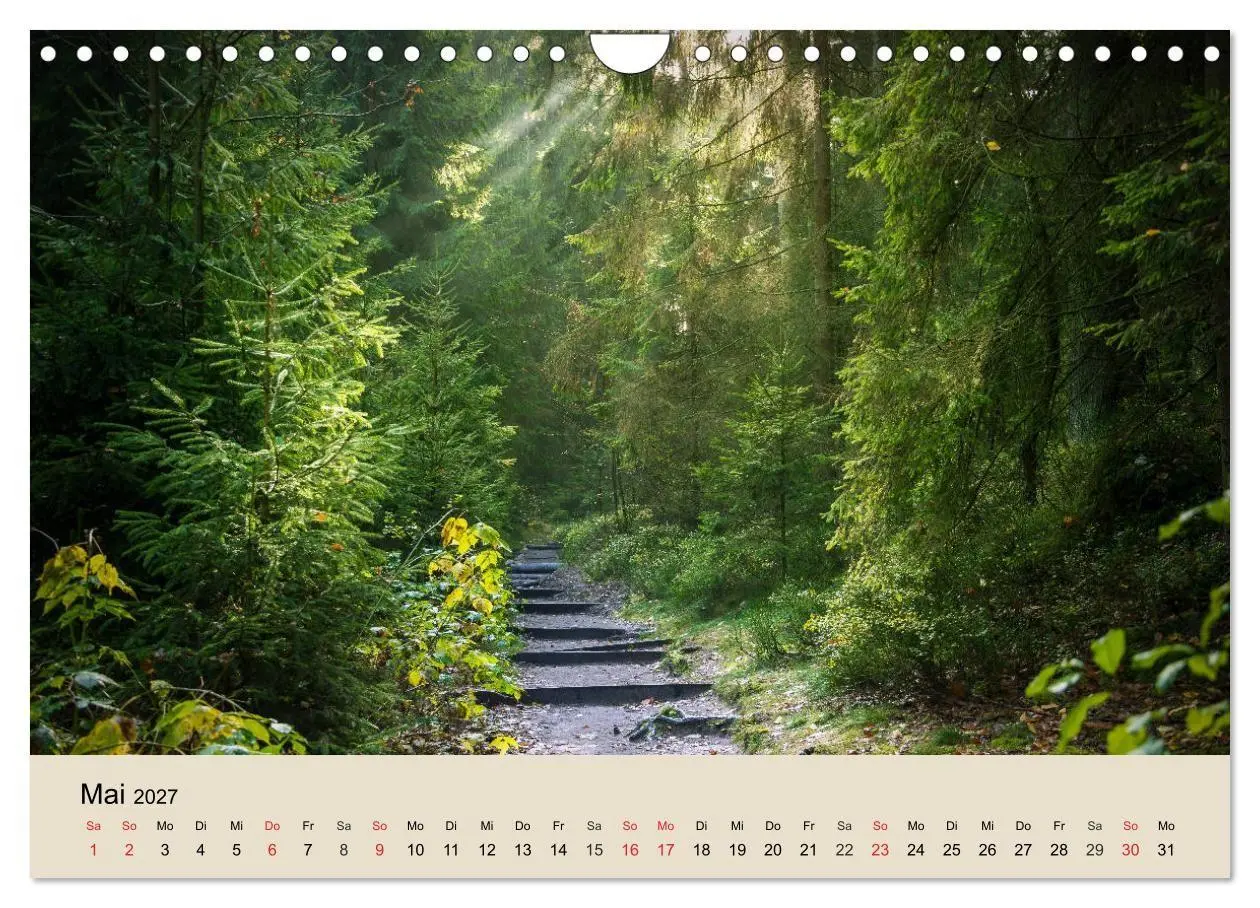 Bild: 9783569739246 | Der Wald. Durch zauberhafte Waldlandschaften (Wandkalender 2027 DIN...