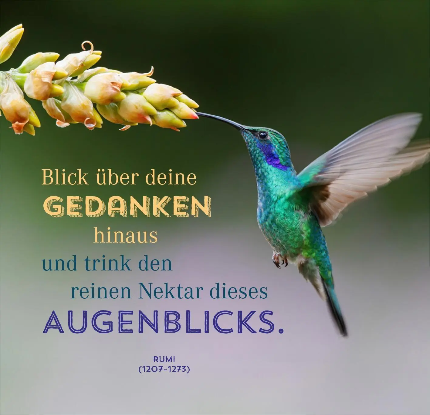 Bild: 9783845869346 | Nimm dir Zeit für Achtsamkeit | Taschenbuch | 108 S. | Deutsch | 2026