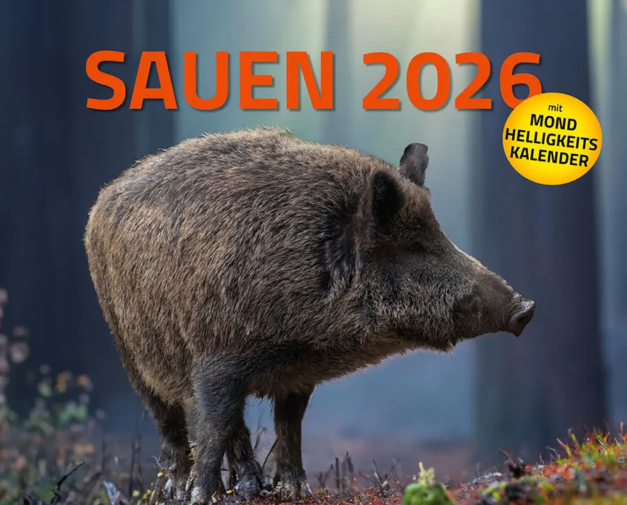 Cover: 9783966649346 | Sauen Kalender 2026 Jagd-Kalender im XXL-Format | Kalender | 14 S.
