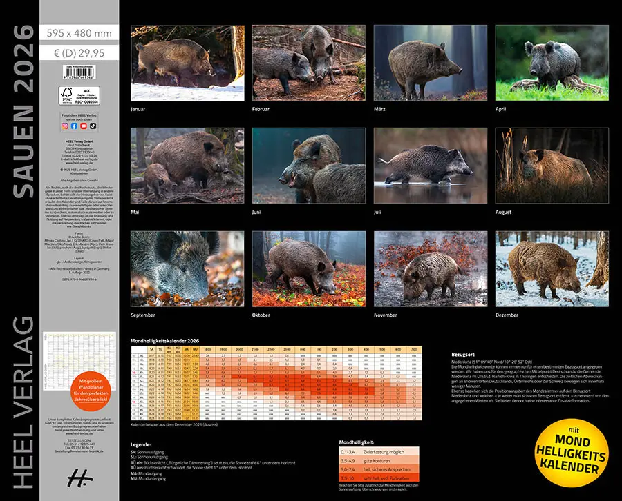 Bild: 9783966649346 | Sauen Kalender 2026 Jagd-Kalender im XXL-Format | Kalender | 14 S.