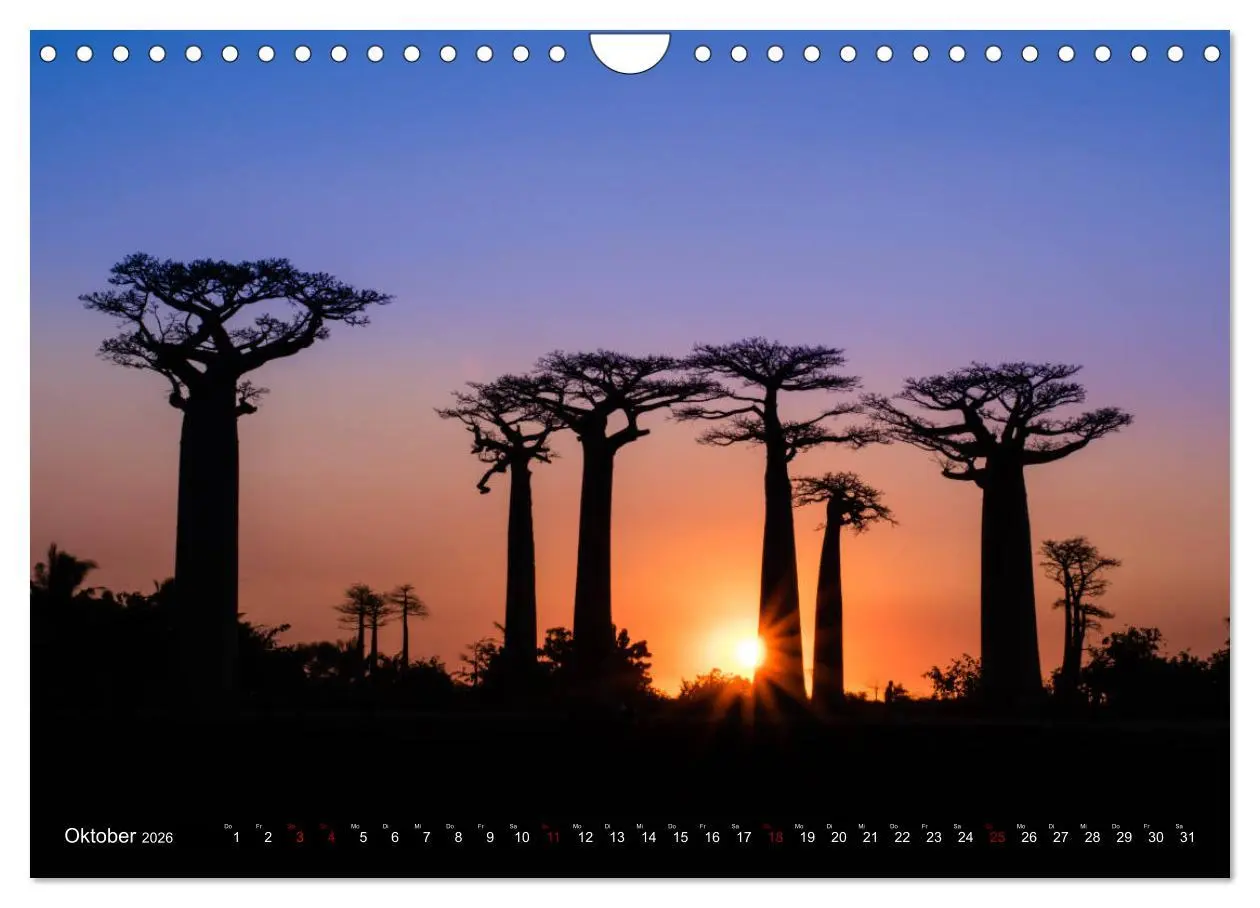 Bild: 9783457839546 | Madagaskar - Impressionen von Rolf Dietz (Wandkalender 2026 DIN A4...