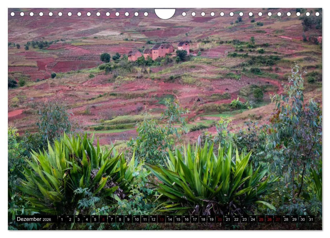Bild: 9783457839546 | Madagaskar - Impressionen von Rolf Dietz (Wandkalender 2026 DIN A4...
