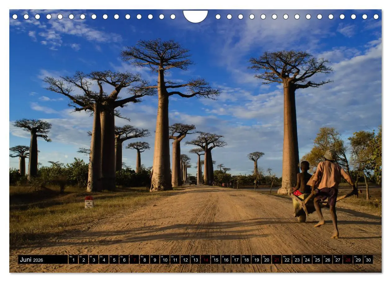 Bild: 9783457839546 | Madagaskar - Impressionen von Rolf Dietz (Wandkalender 2026 DIN A4...