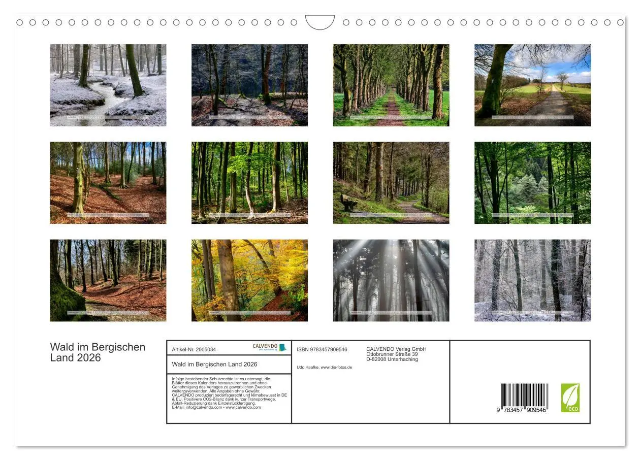 Bild: 9783457909546 | Wald im Bergischen Land 2026 (Wandkalender 2026 DIN A3 quer),...