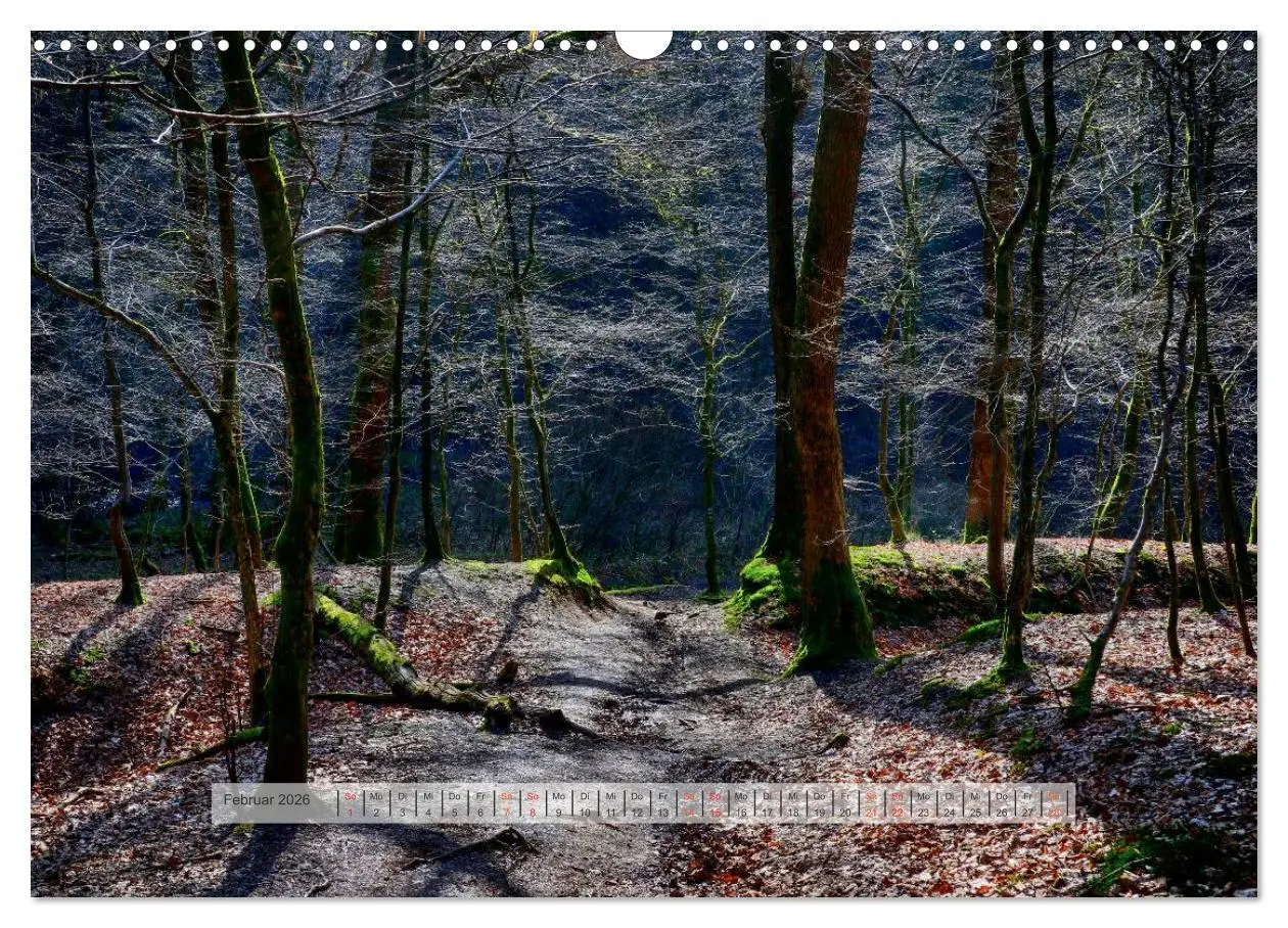 Bild: 9783457909546 | Wald im Bergischen Land 2026 (Wandkalender 2026 DIN A3 quer),...