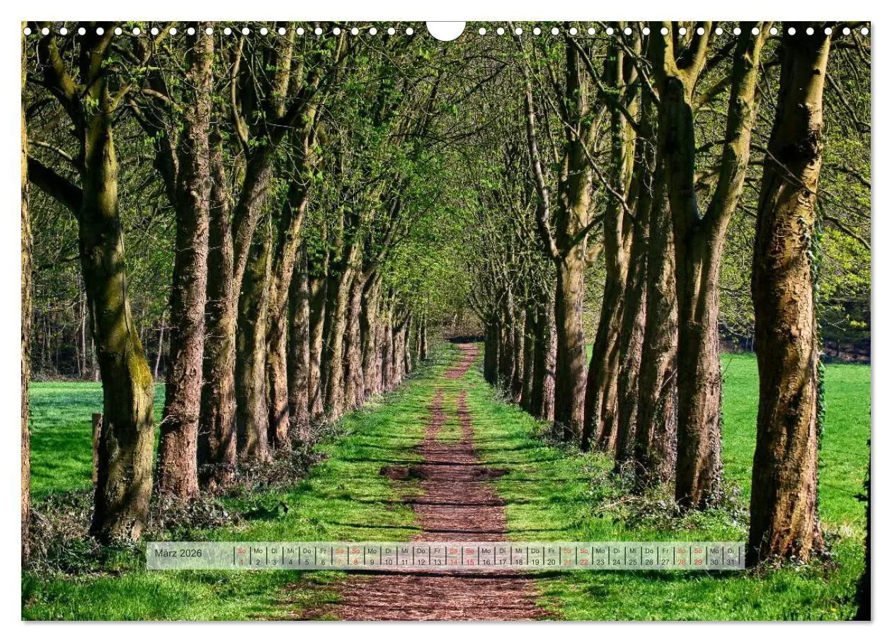 Bild: 9783457909546 | Wald im Bergischen Land 2026 (Wandkalender 2026 DIN A3 quer),...