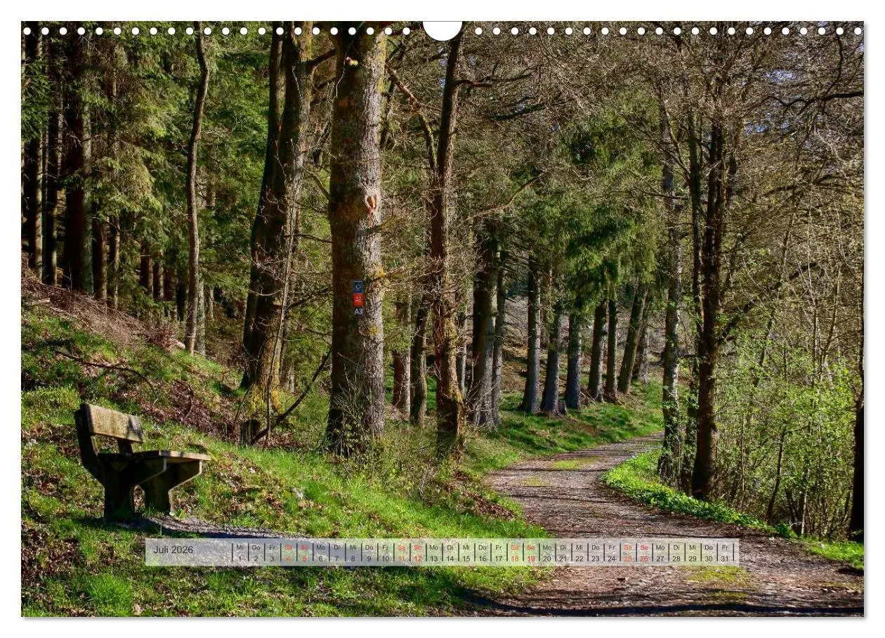 Bild: 9783457909546 | Wald im Bergischen Land 2026 (Wandkalender 2026 DIN A3 quer),...