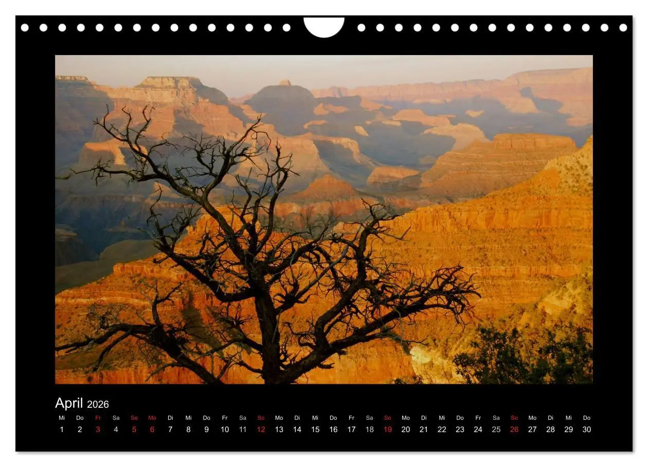 Bild: 9783516099546 | Amerika - Arizona und andere Schönheiten (Wandkalender 2026 DIN A4...