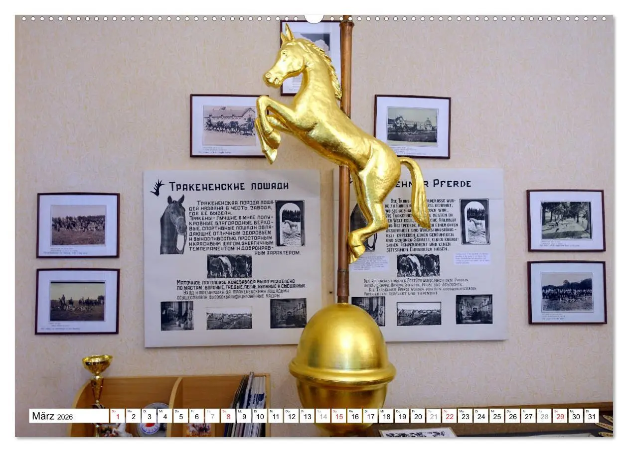 Bild: 9783457689646 | Mythos Trakehnen - Paradies ohne Pferde (hochwertiger Premium...