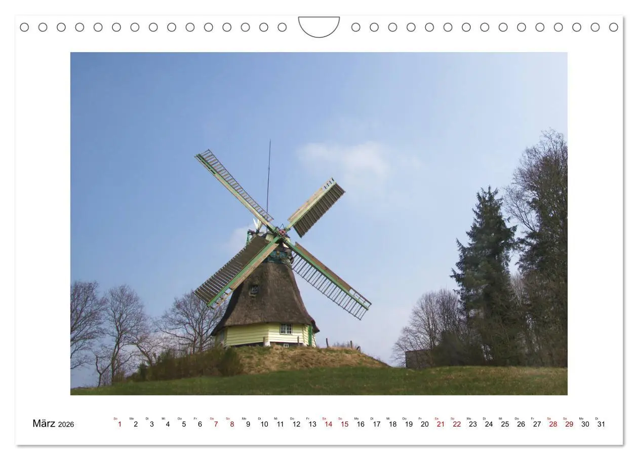 Bild: 9783457829646 | Liebenswertes Dithmarschen (Wandkalender 2026 DIN A4 quer),...