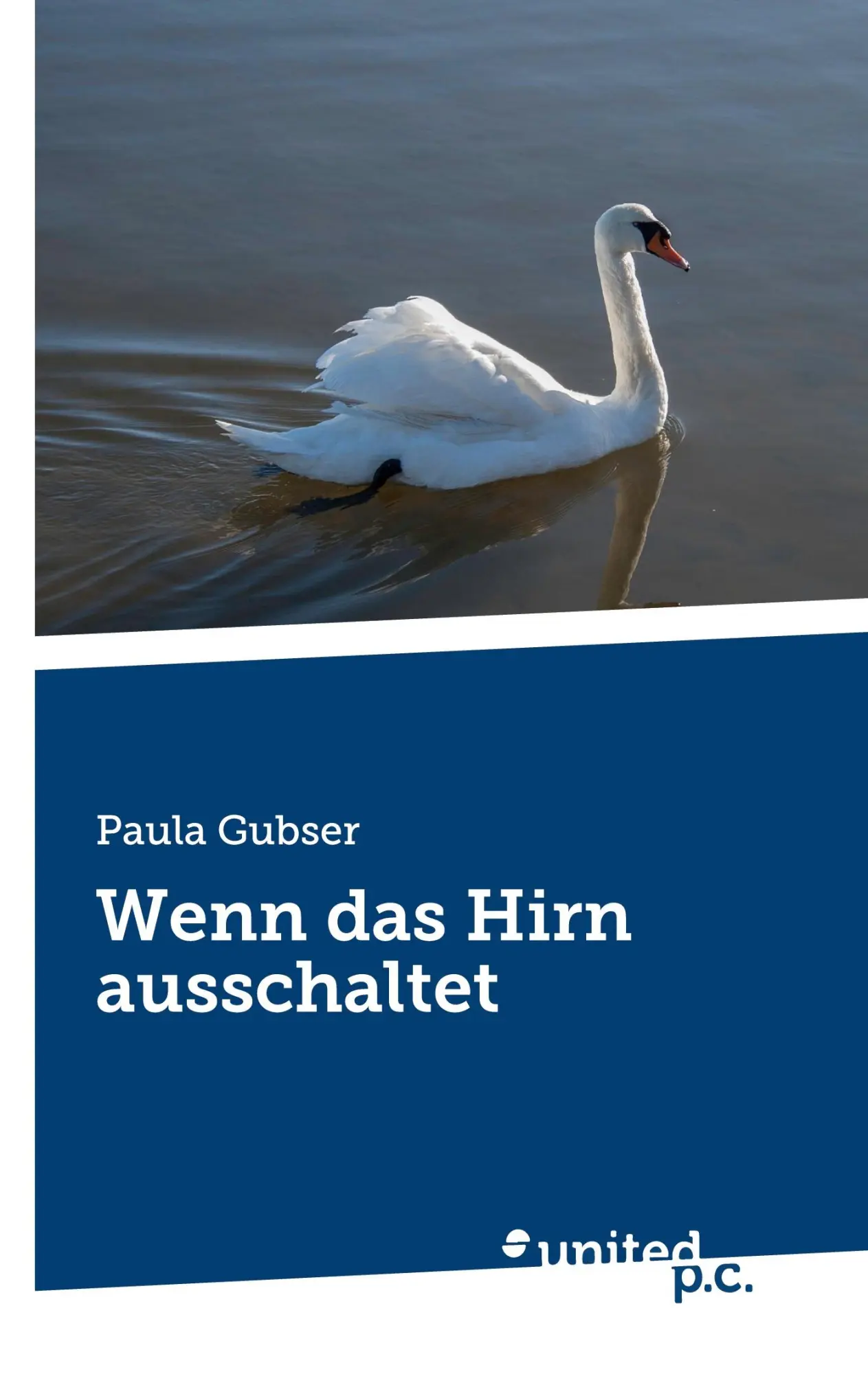 Cover: 9783710329746 | Wenn das Hirn ausschaltet | Paula Gubser | Taschenbuch | 288 S. | 2025