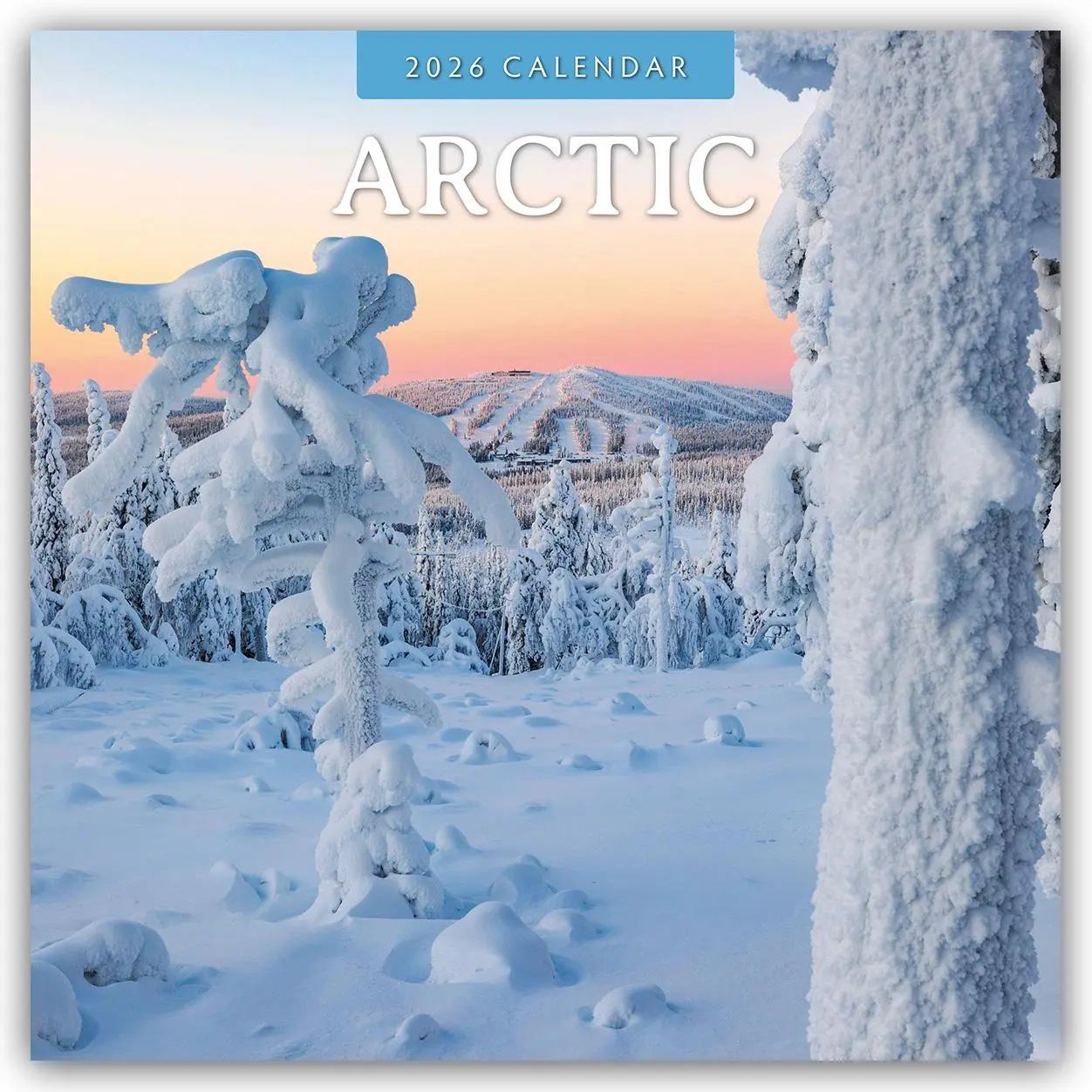 Cover: 9781804429846 | Arctic 2026 Square Wall Calendar | Red Robin | Taschenbuch | 13 S.