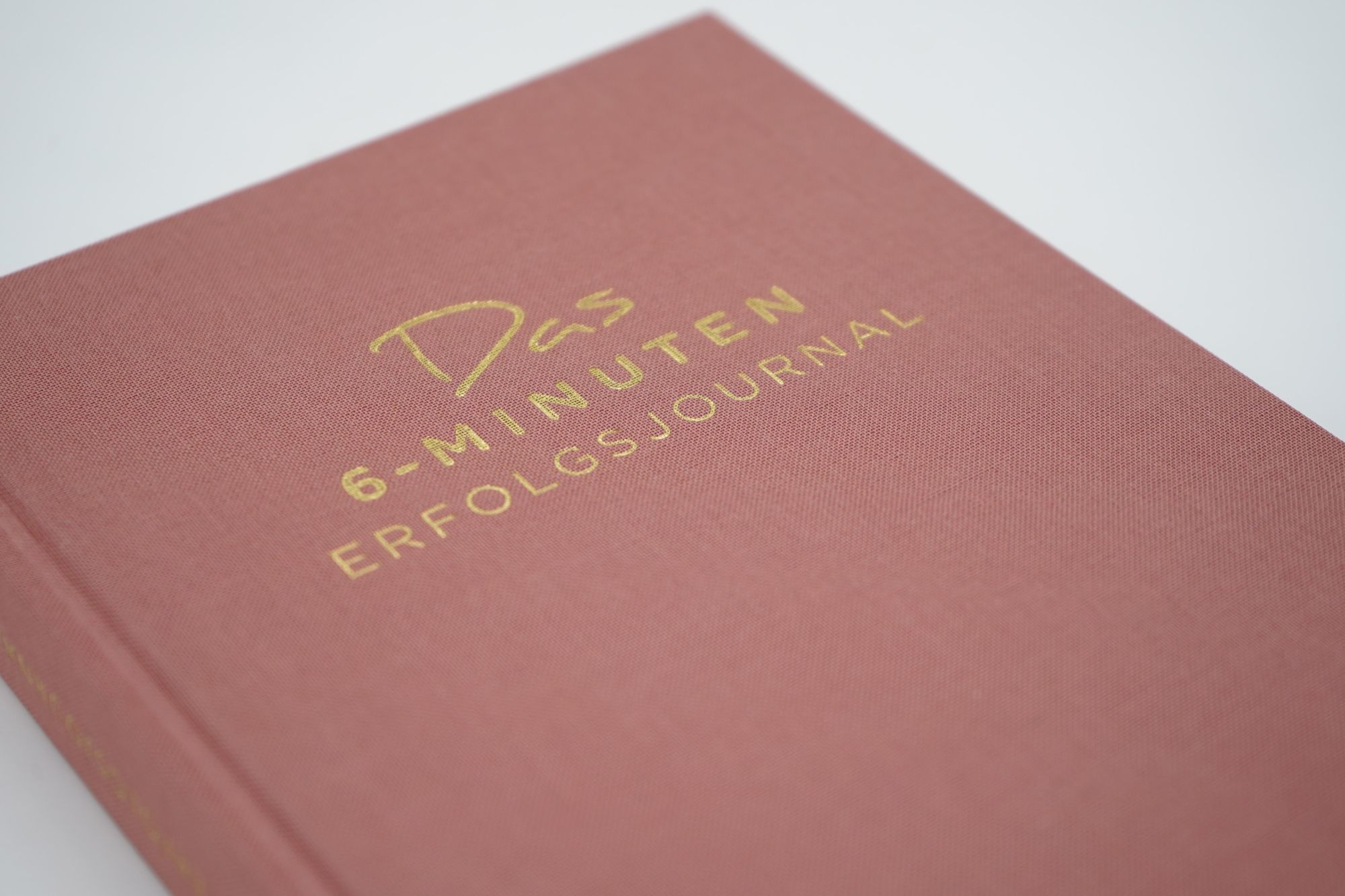 Bild: 9783499009846 | Das 6-Minuten-Erfolgsjournal (mittelblau) | Dominik Spenst | Buch