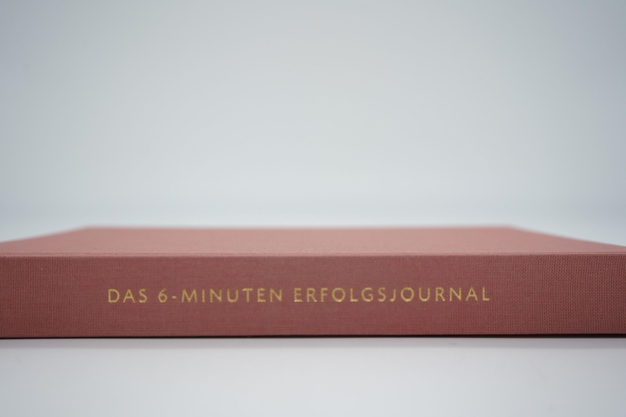 Bild: 9783499009846 | Das 6-Minuten-Erfolgsjournal (mittelblau) | Dominik Spenst | Buch