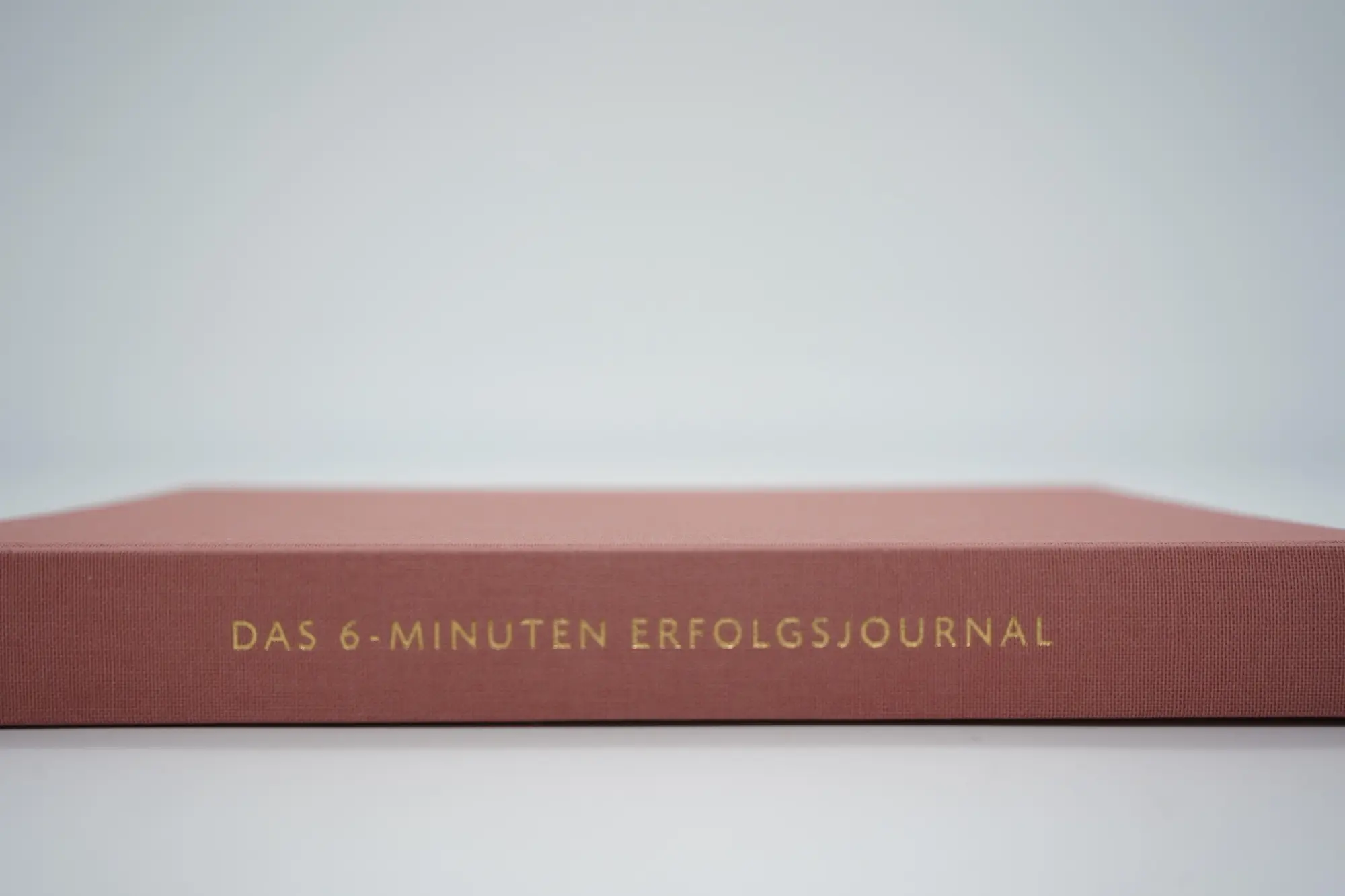 Bild: 9783499009846 | Das 6-Minuten-Erfolgsjournal (mittelblau) | Dominik Spenst | Buch