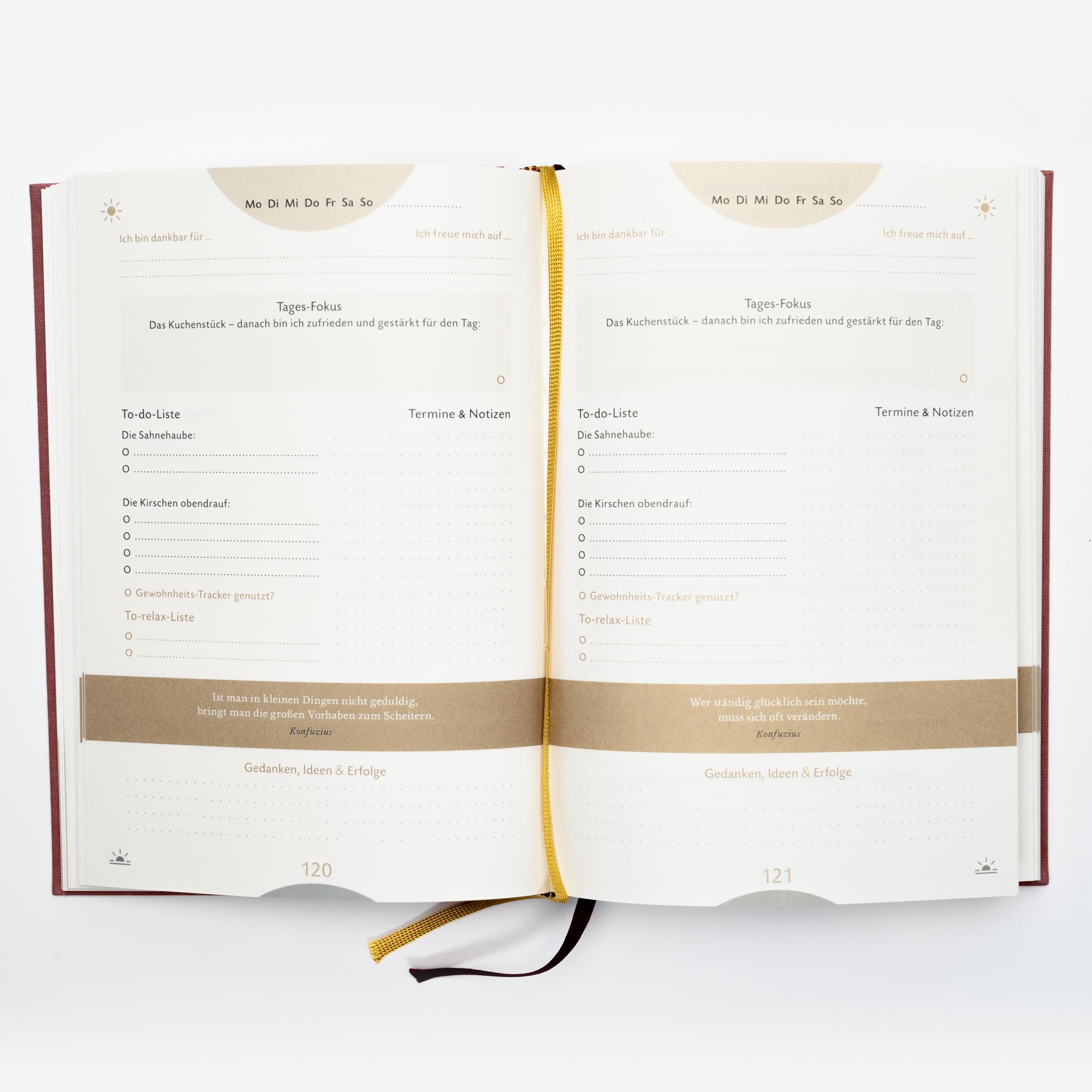 Bild: 9783499009846 | Das 6-Minuten-Erfolgsjournal (mittelblau) | Dominik Spenst | Buch