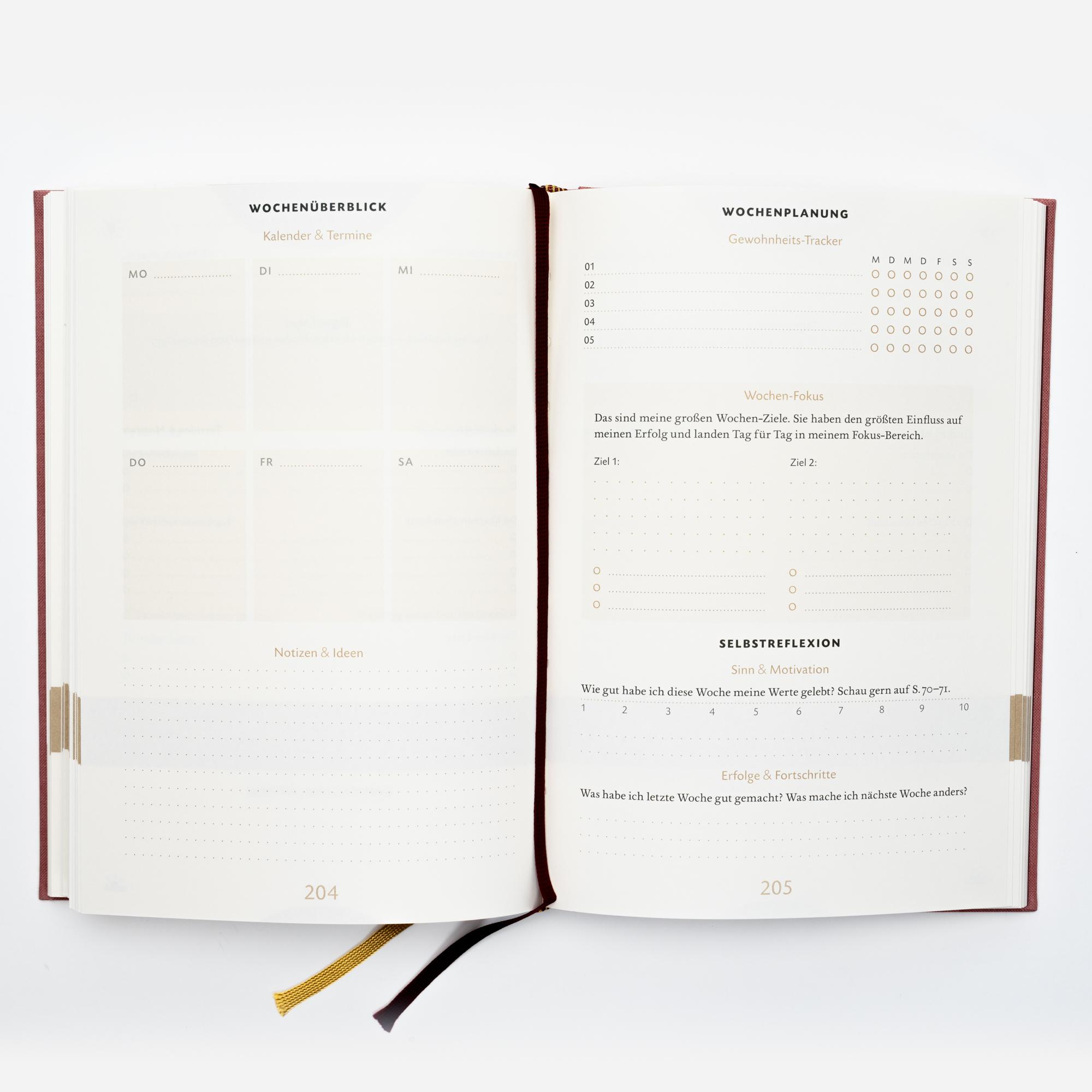 Bild: 9783499009846 | Das 6-Minuten-Erfolgsjournal (mittelblau) | Dominik Spenst | Buch