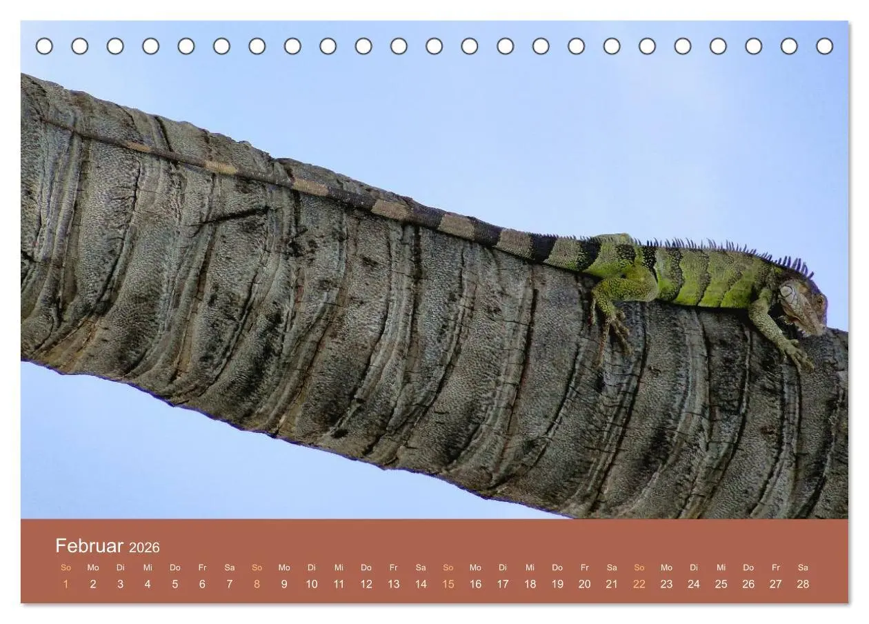 Bild: 9783516209846 | ABC: Aruba - Bonaire - Curaçao (Tischkalender 2026 DIN A5 quer),...