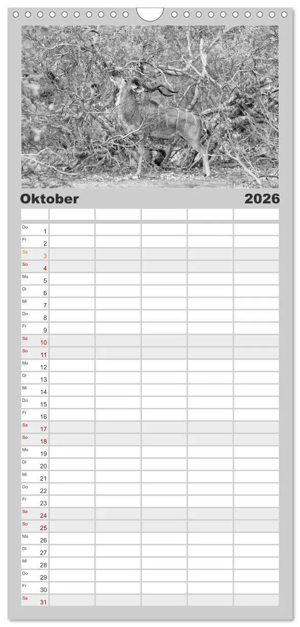 Bild: 9783516519846 | Familienplaner 2026 - Afrika Schwarz - Weiss mit 5 Spalten...