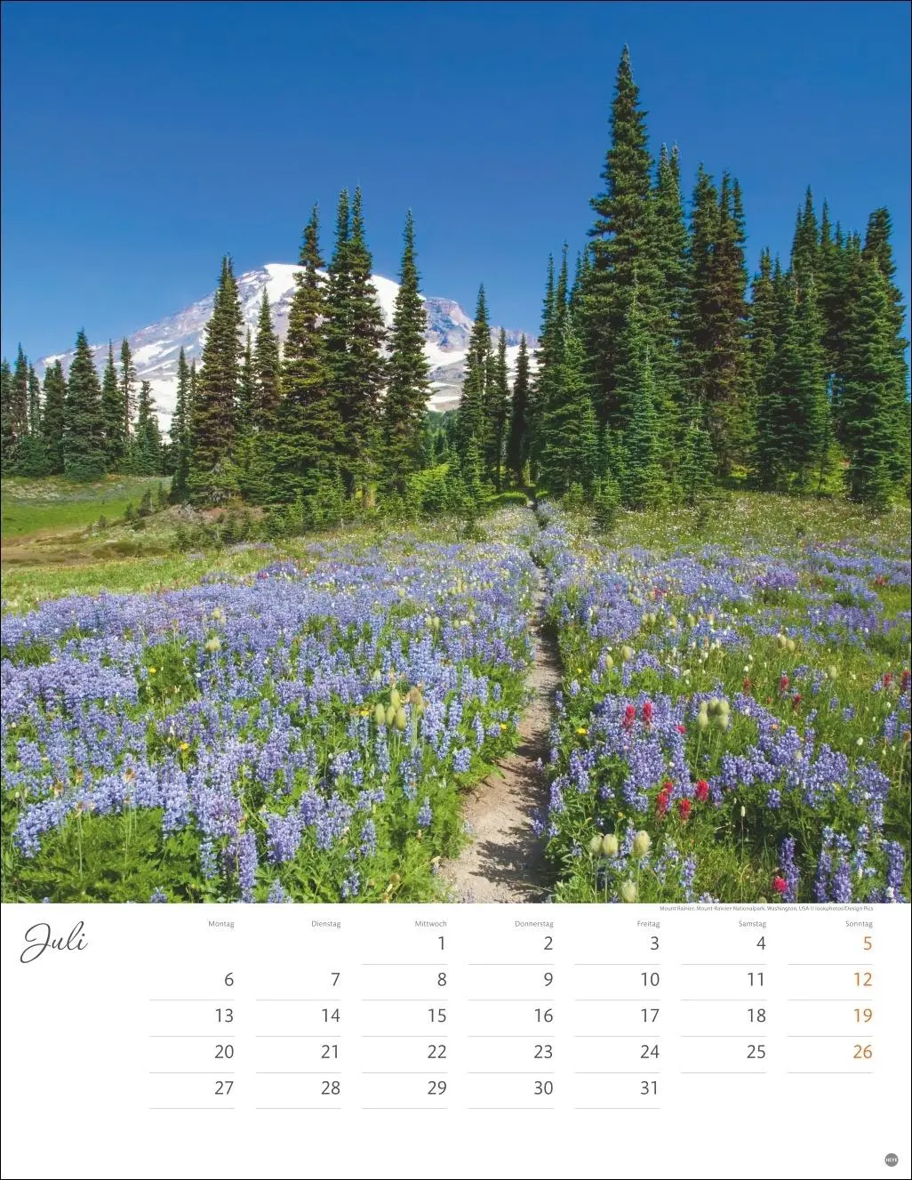 Bild: 9783756409846 | Wege zum Träumen Posterkalender 2026 | Heye | Kalender | Spiralbindung