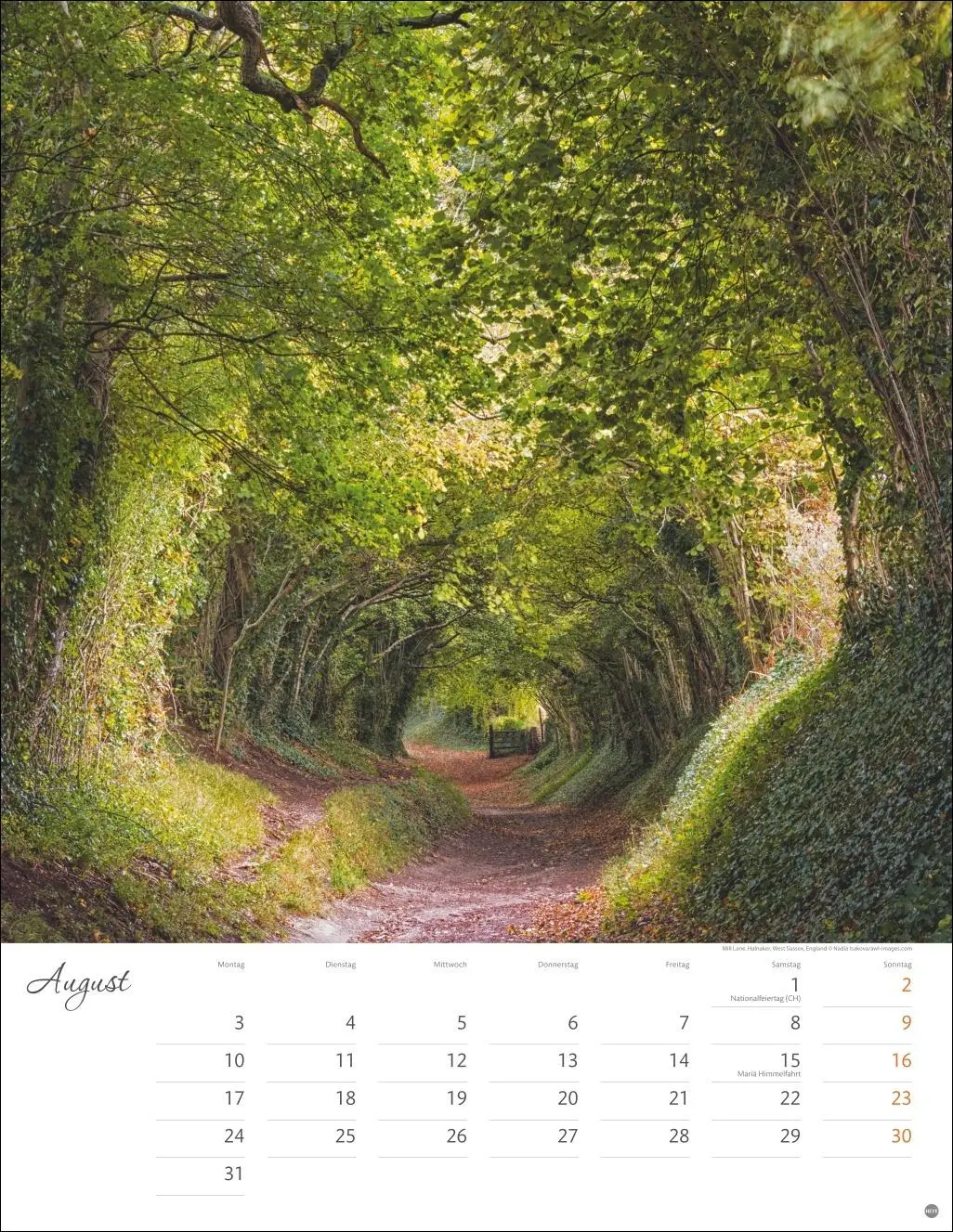 Bild: 9783756409846 | Wege zum Träumen Posterkalender 2026 | Heye | Kalender | Spiralbindung