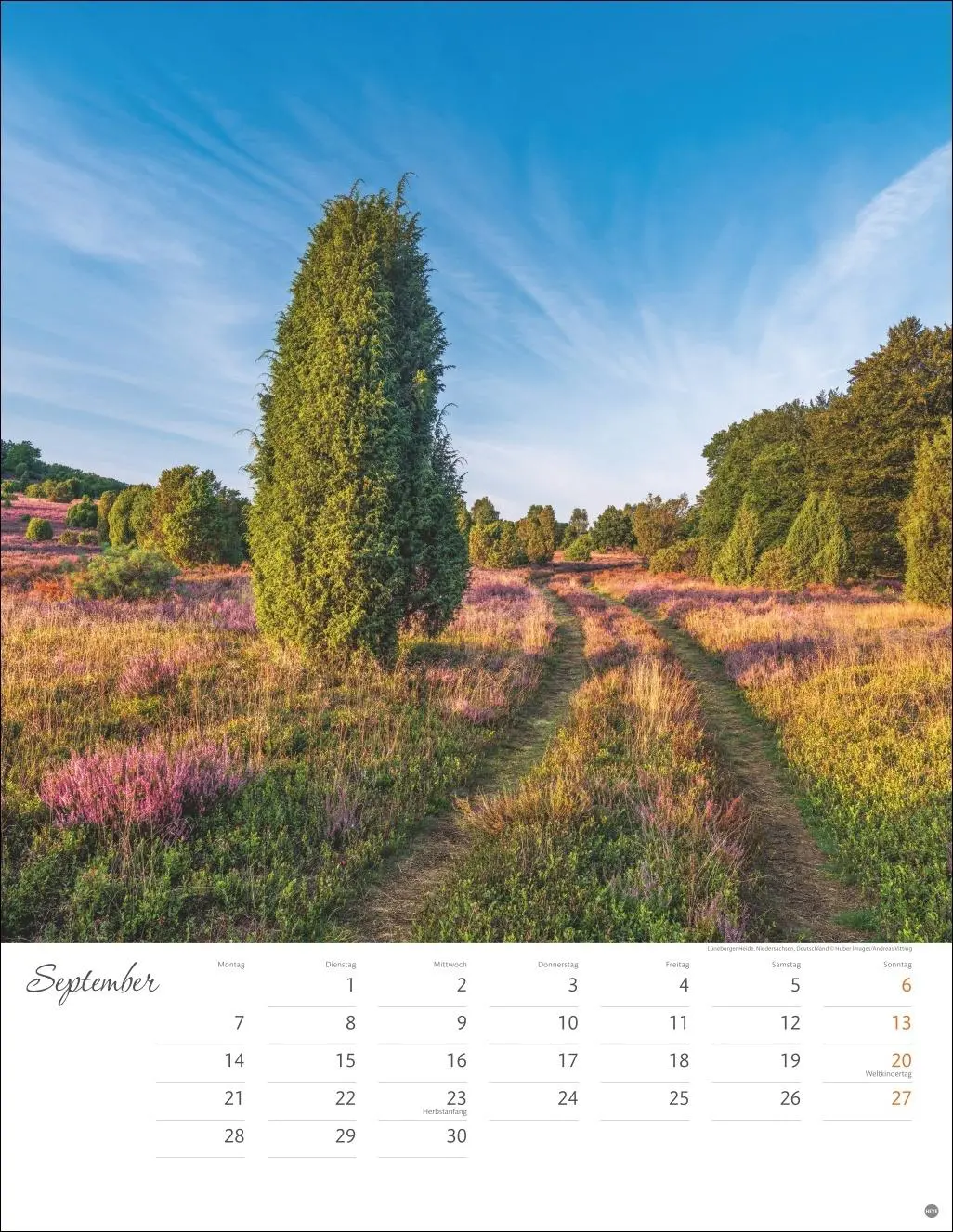 Bild: 9783756409846 | Wege zum Träumen Posterkalender 2026 | Heye | Kalender | Spiralbindung