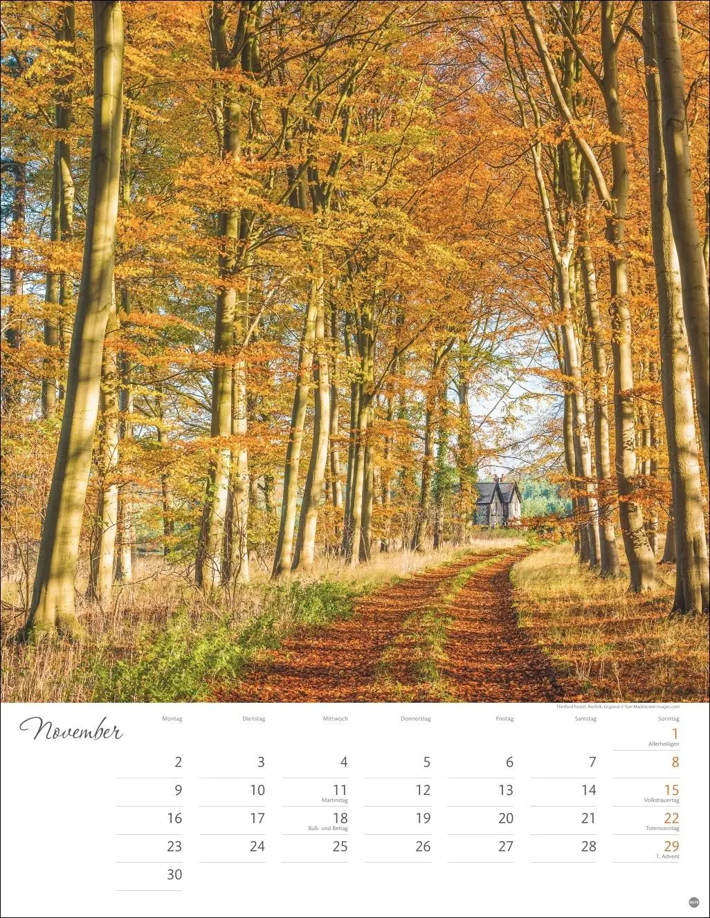 Bild: 9783756409846 | Wege zum Träumen Posterkalender 2026 | Heye | Kalender | Spiralbindung