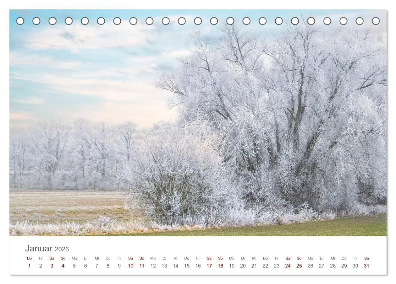 Bild: 9783457349946 | Spreewald - Ein Naturparadies (Tischkalender 2026 DIN A5 quer),...