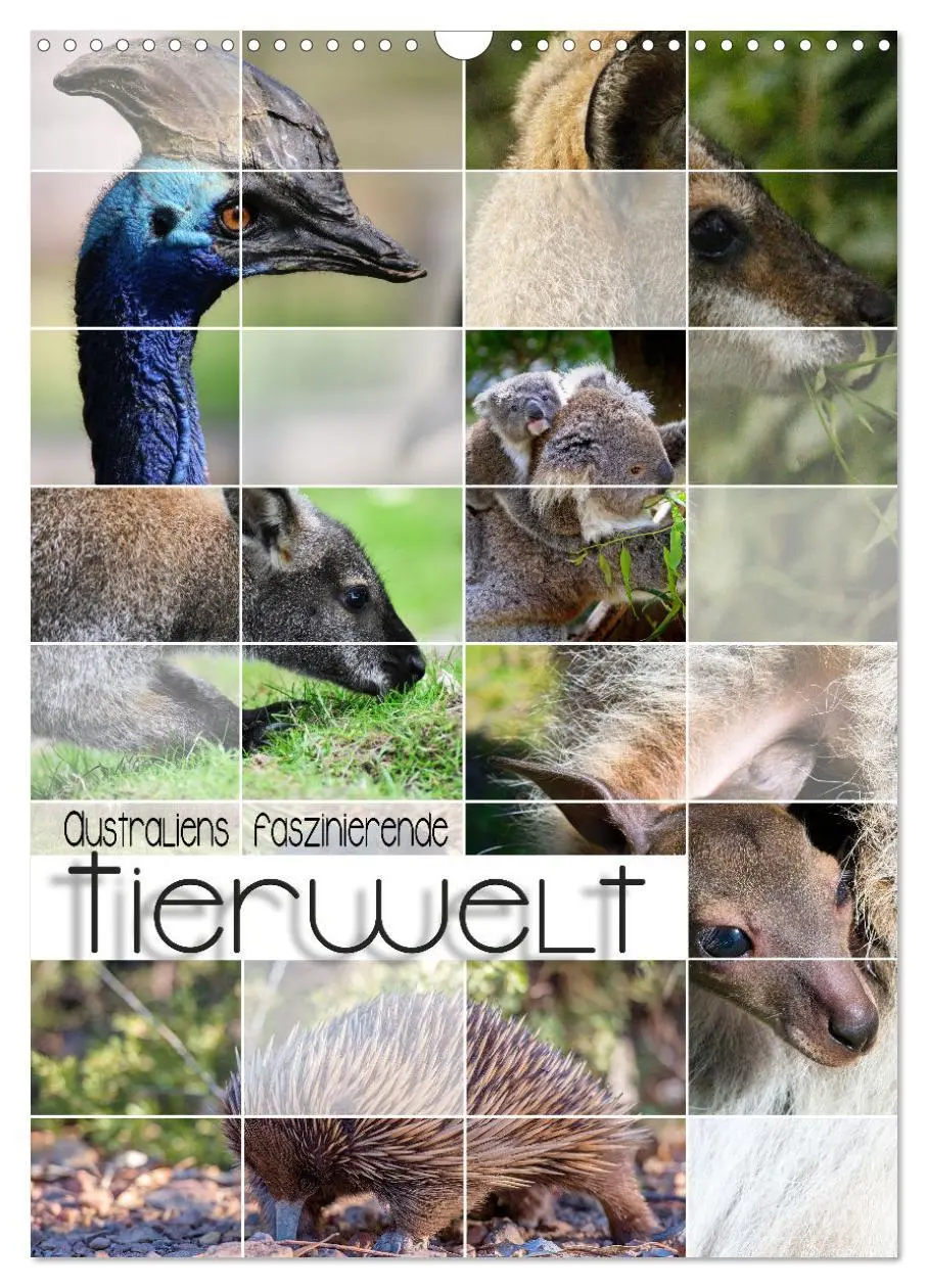 Cover: 9783516369946 | Australiens faszinierende Tierwelt (Wandkalender 2026 DIN A3 hoch),...