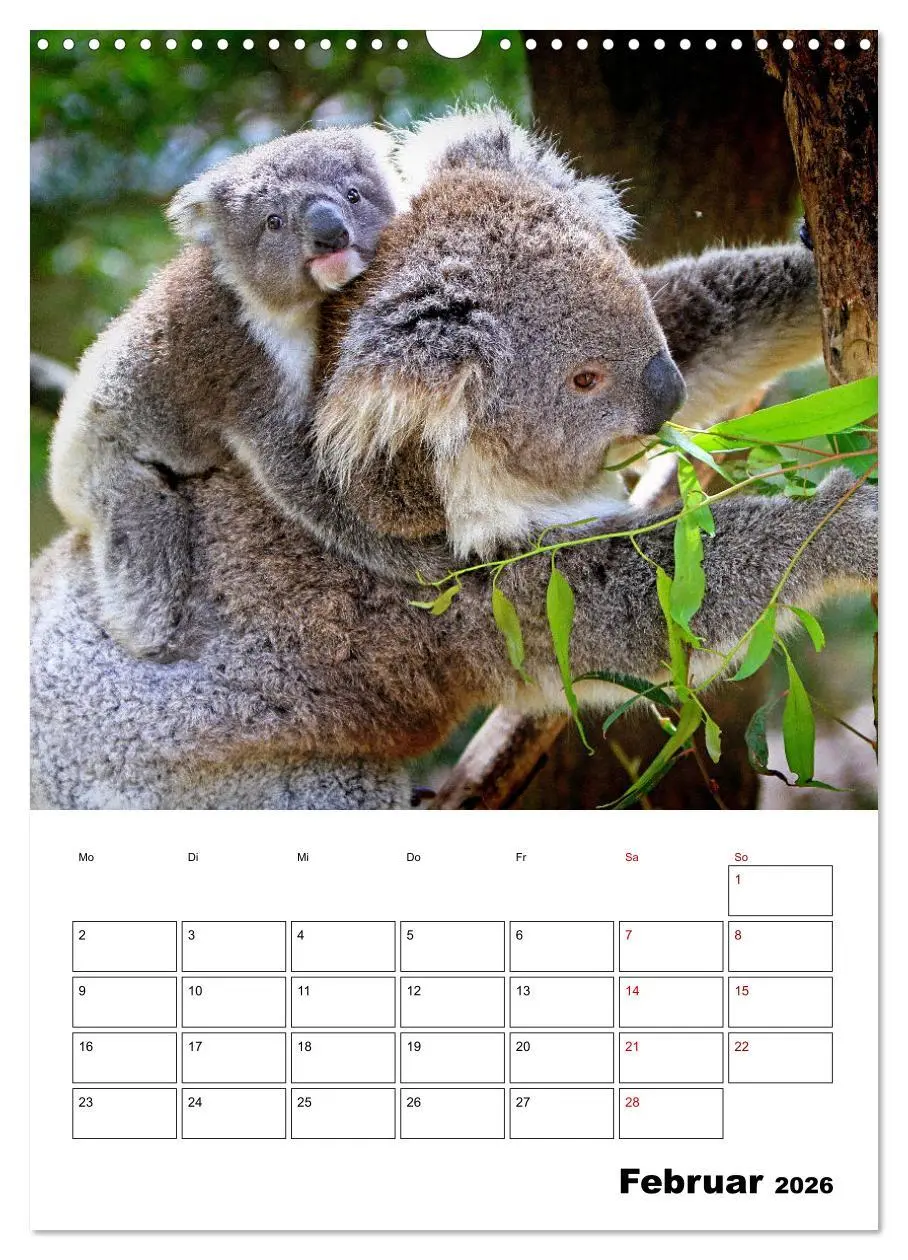 Bild: 9783516369946 | Australiens faszinierende Tierwelt (Wandkalender 2026 DIN A3 hoch),...