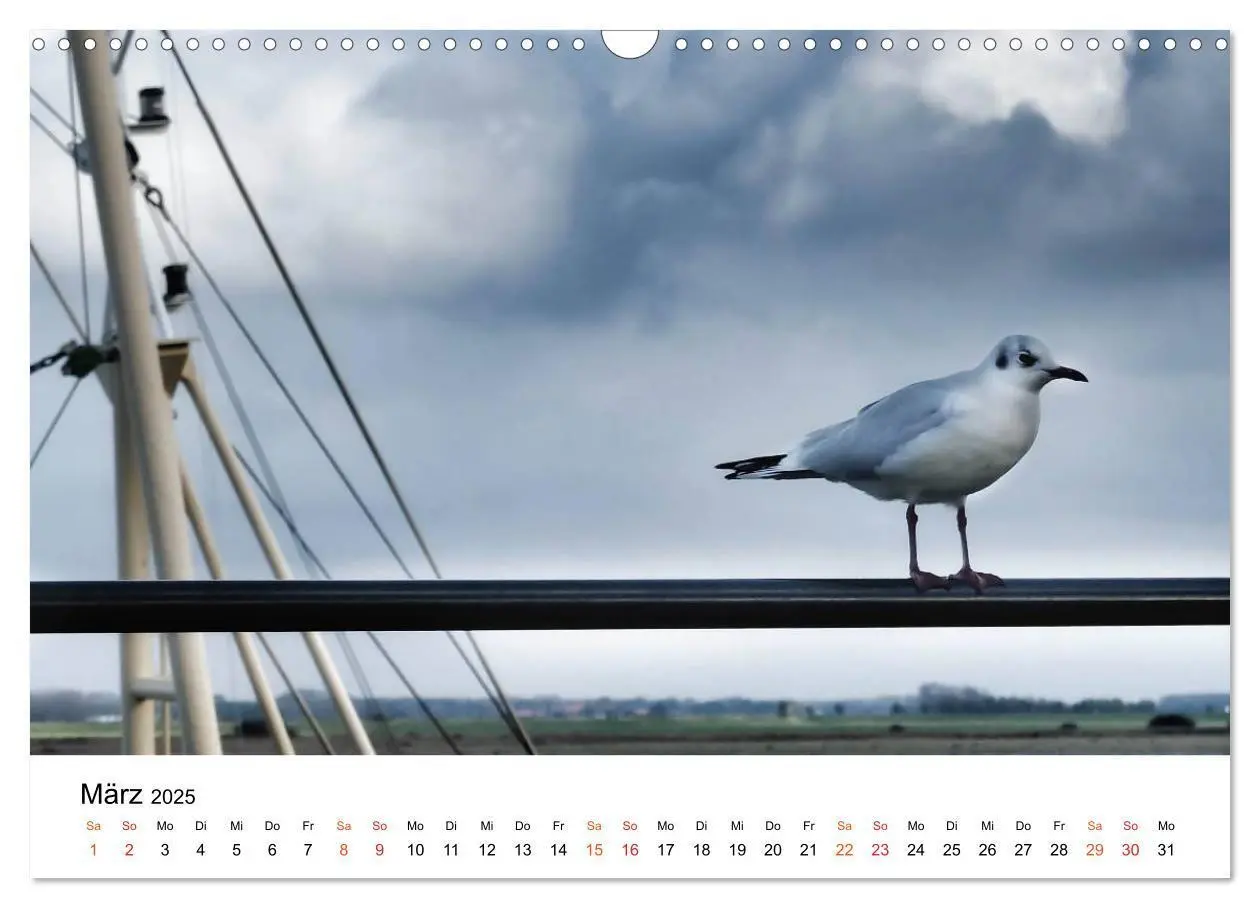 Bild: 9783435510047 | Wieder an der Nordsee (Wandkalender 2025 DIN A3 quer), CALVENDO...