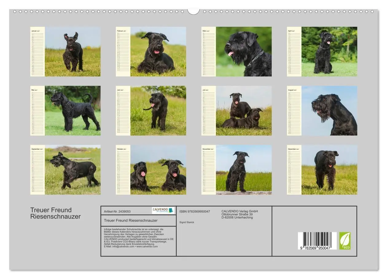 Bild: 9783569950047 | Treuer Freund Riesenschnauzer (hochwertiger Premium Wandkalender...