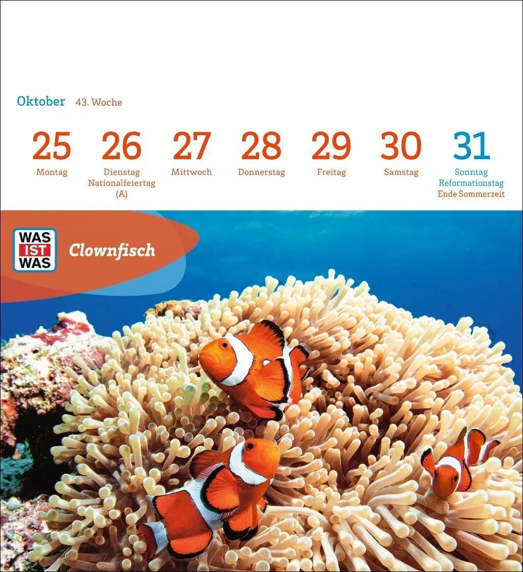 Bild: 9783840040047 | WAS IST WAS Geniale Tiere Postkartenkalender 2027 - Kalender mit 53...