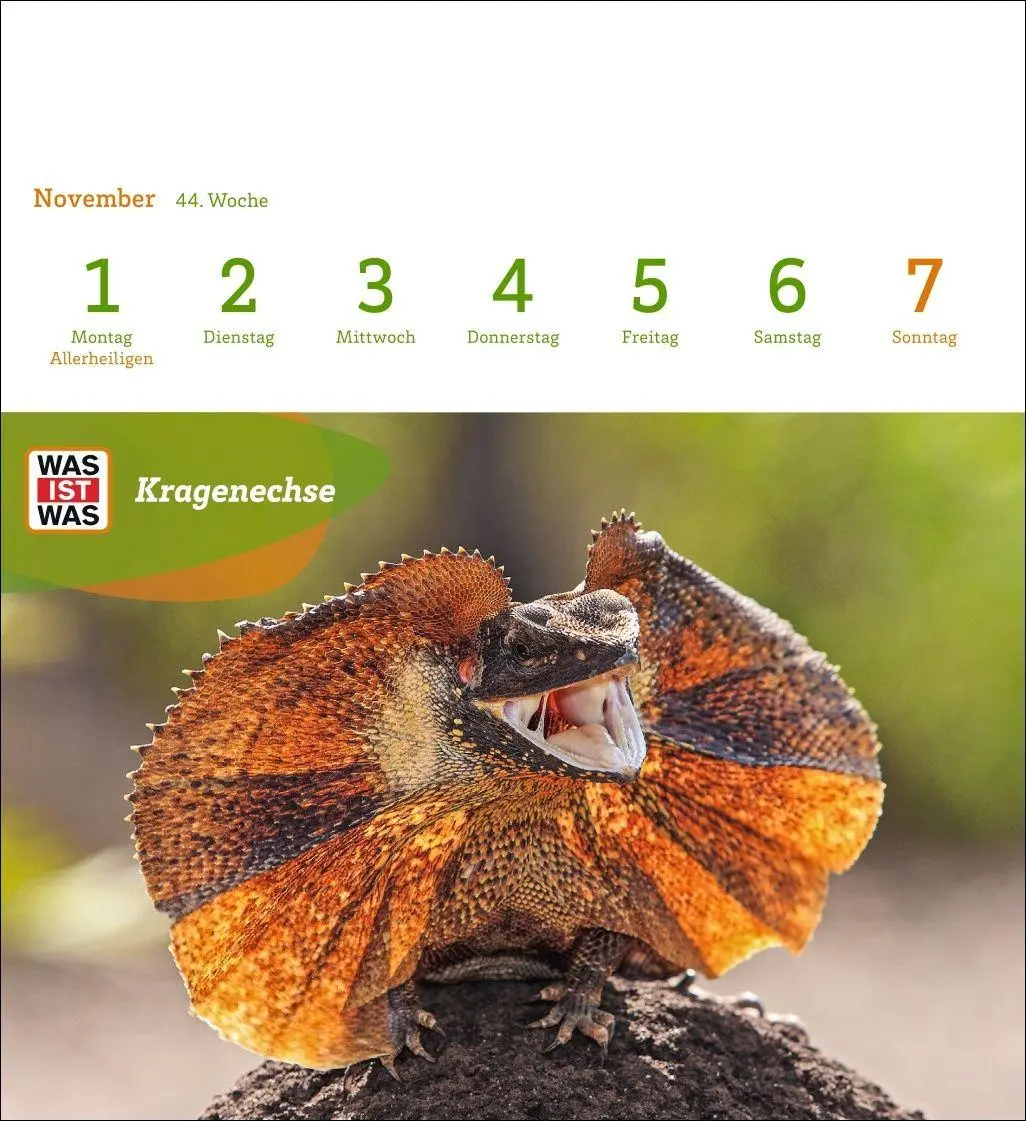 Bild: 9783840040047 | WAS IST WAS Geniale Tiere Postkartenkalender 2027 - Kalender mit 53...