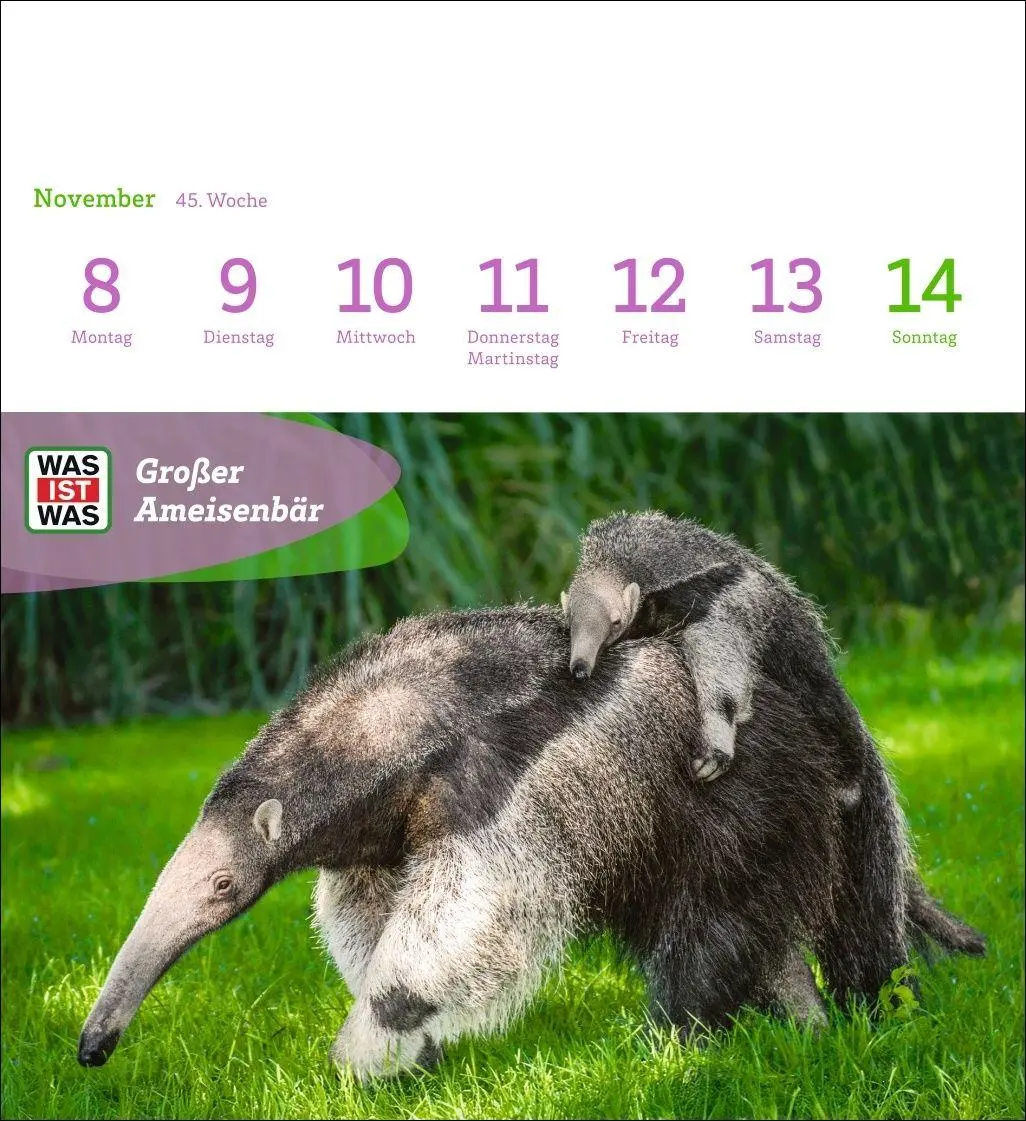 Bild: 9783840040047 | WAS IST WAS Geniale Tiere Postkartenkalender 2027 - Kalender mit 53...